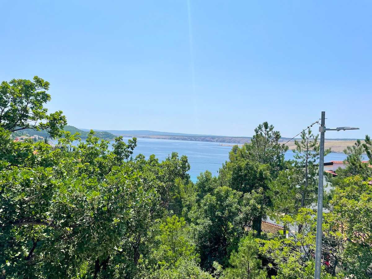 Apartman Šarić 1