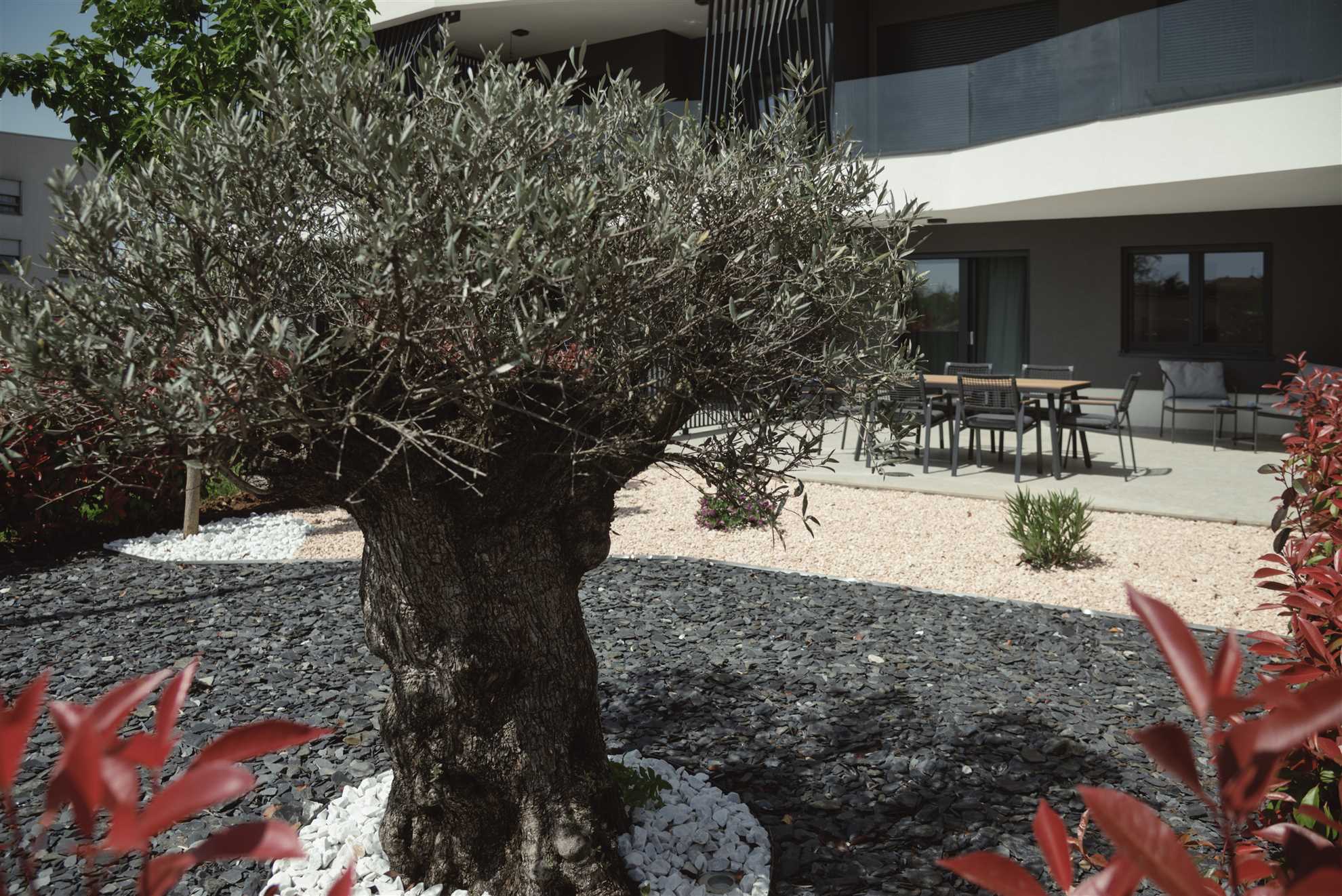 Stella's Garden Apartment Umag