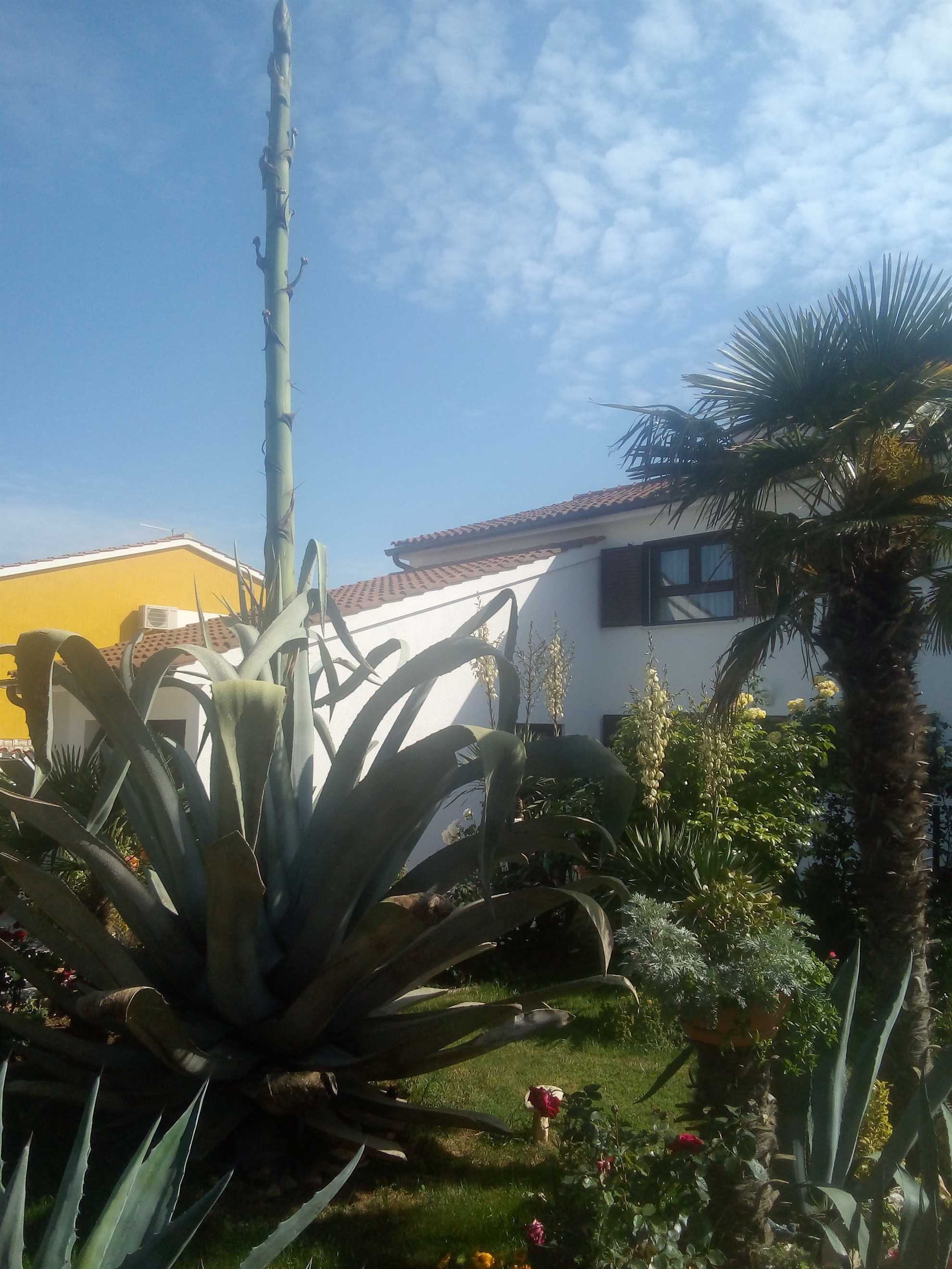 Apartman u Banjolama, pogodan za obitelji, pogled na more, klima uređaj, WiFi, roštilj, do 5 osoba