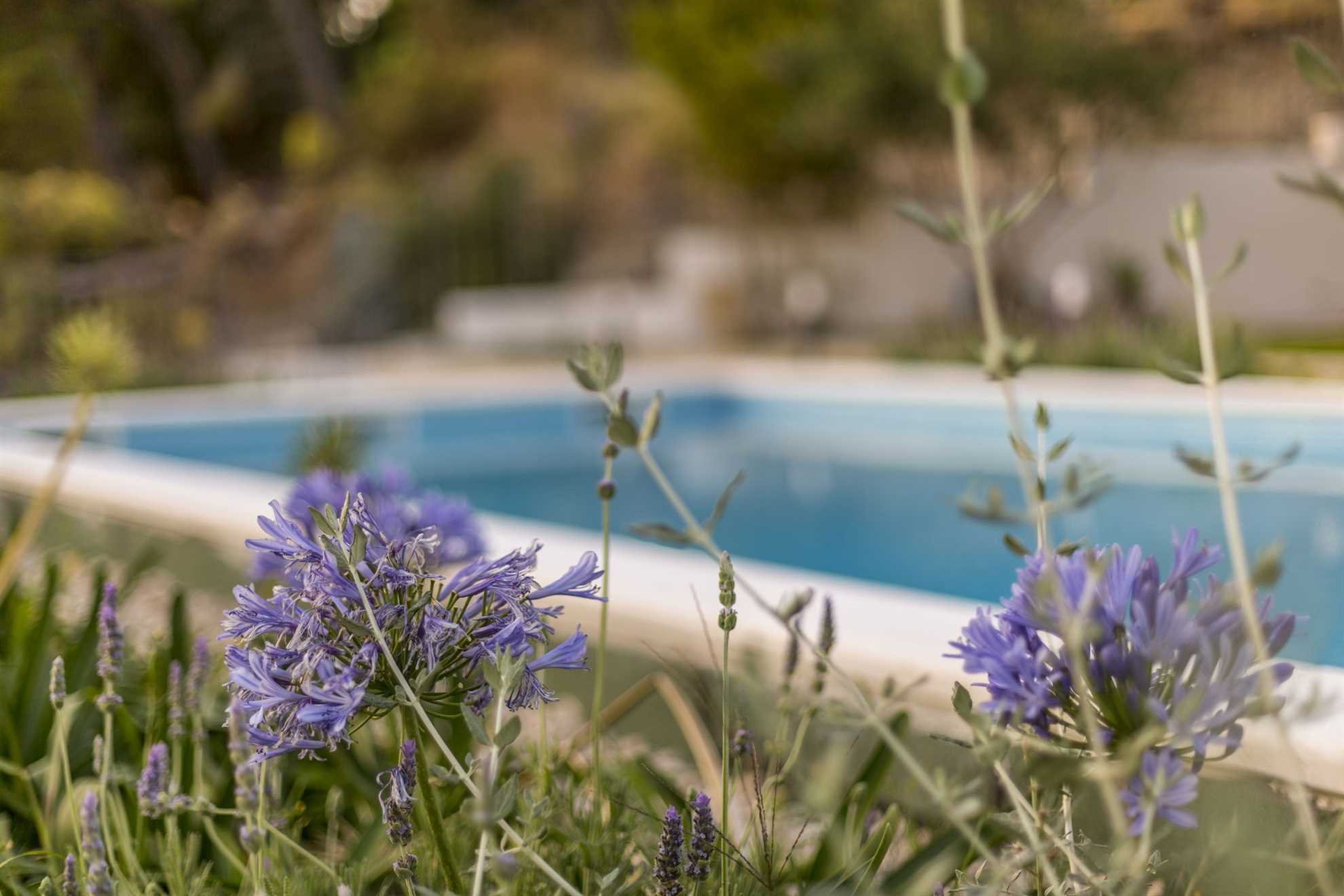 Villa My Happy Place with Swimming Pool