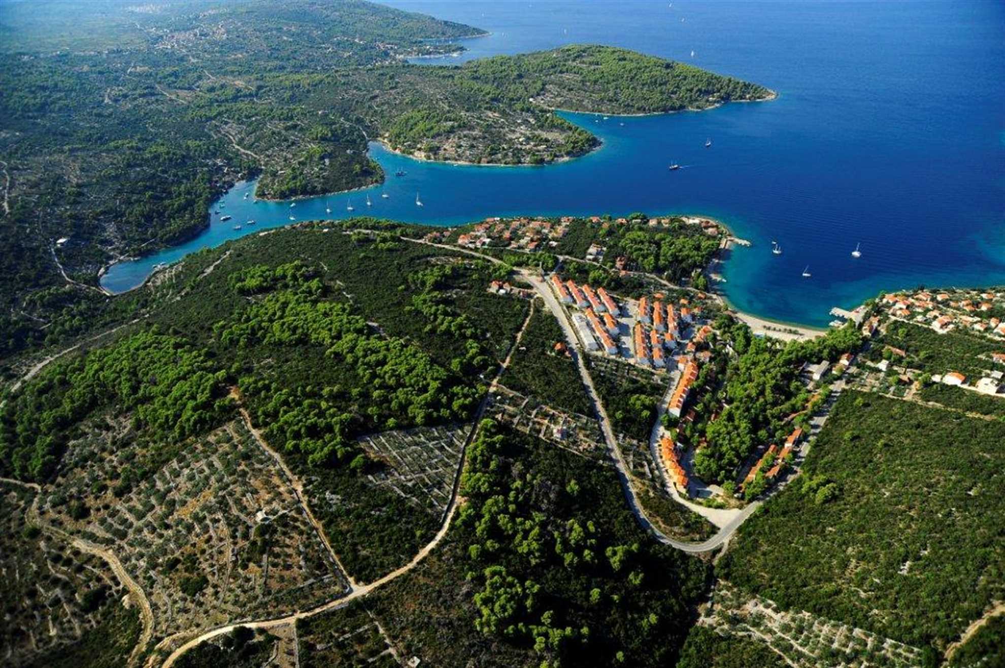 Apartment Green on Solta Island