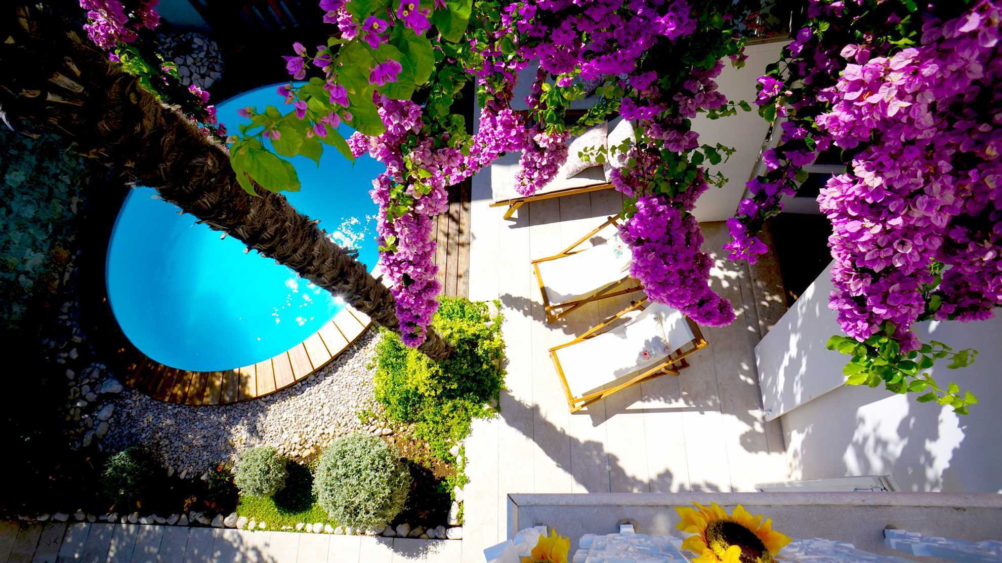 Beachfront Villa Domestic with Pool