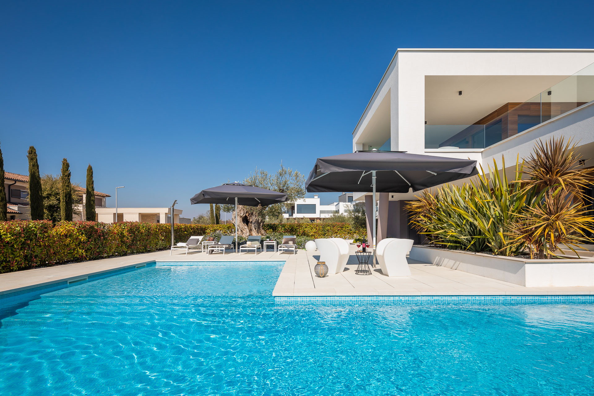 Villa Old Olive Prima with Pool