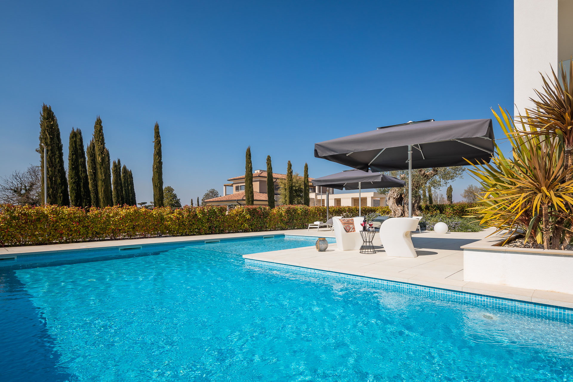 Villa Old Olive Prima with Pool
