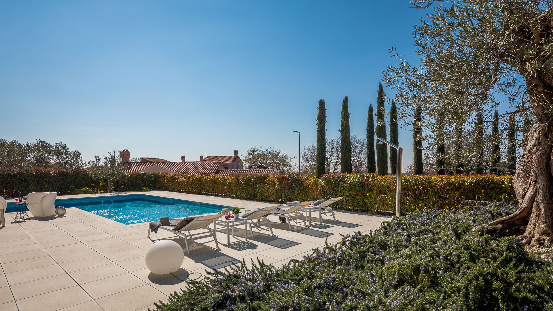 Villa Old Olive Prima with Pool