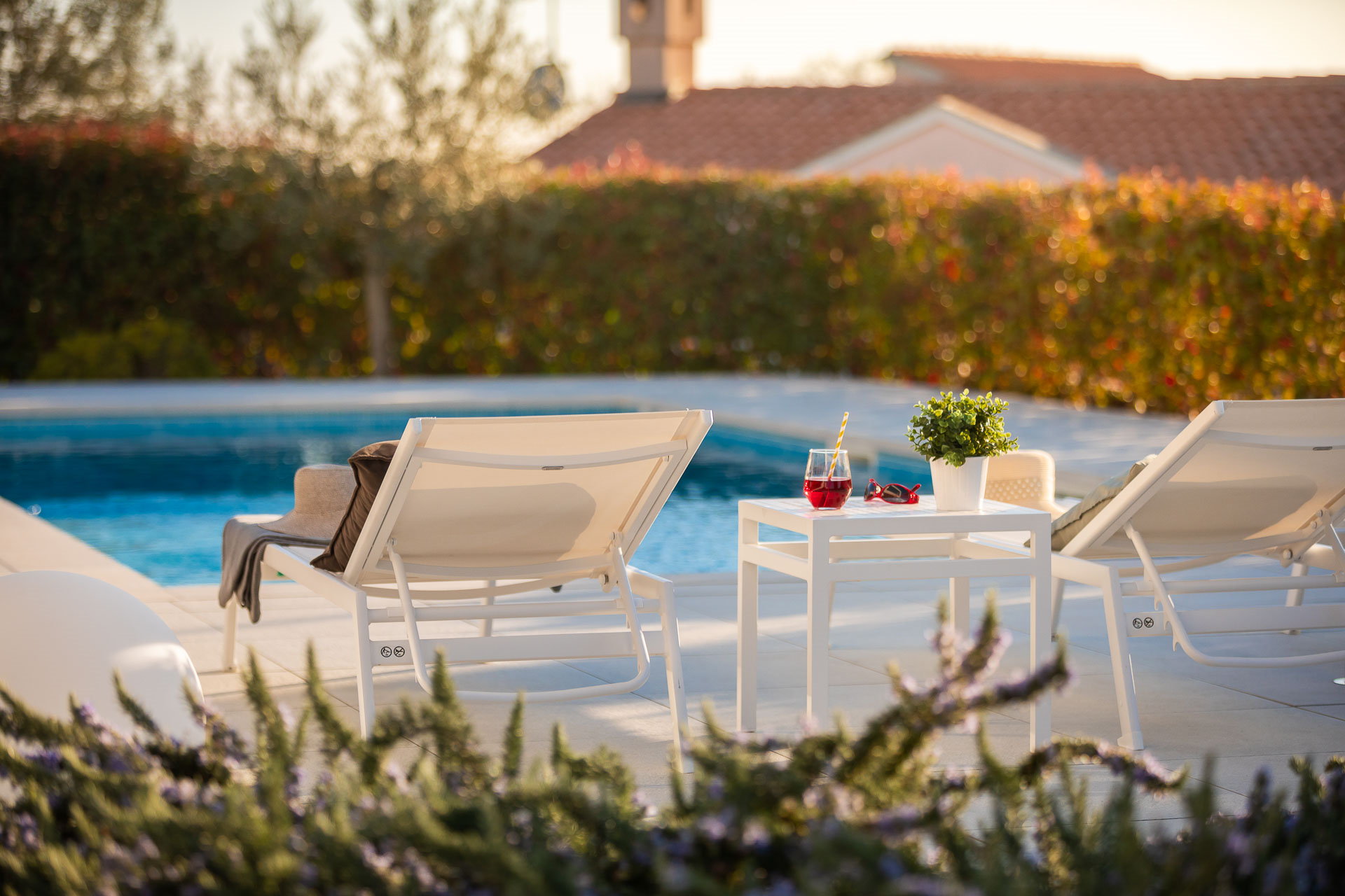 Villa Old Olive Prima with Pool