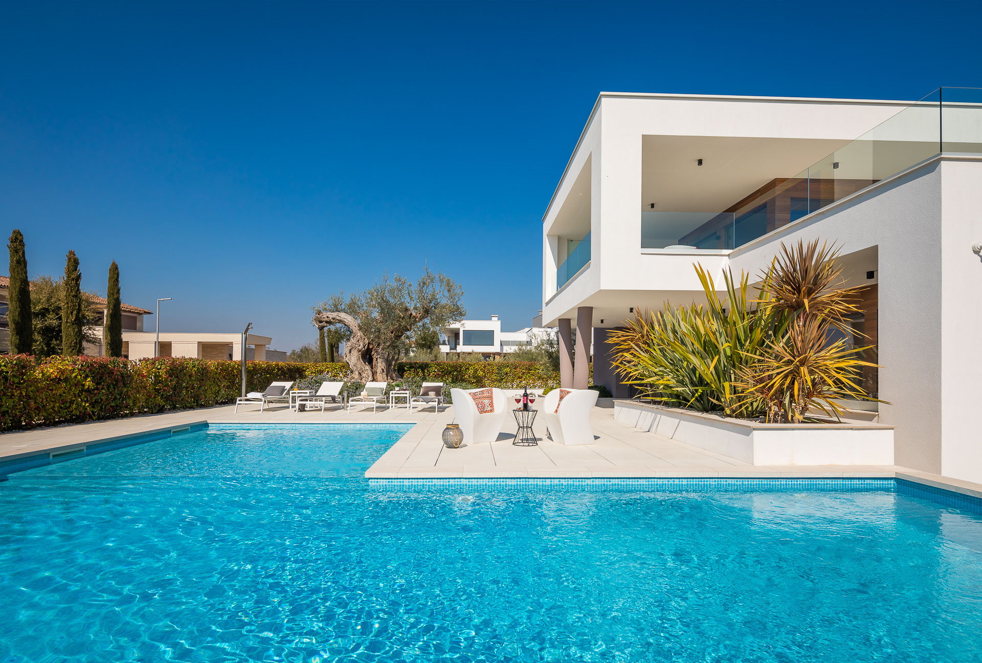 Villa Old Olive Prima with Pool