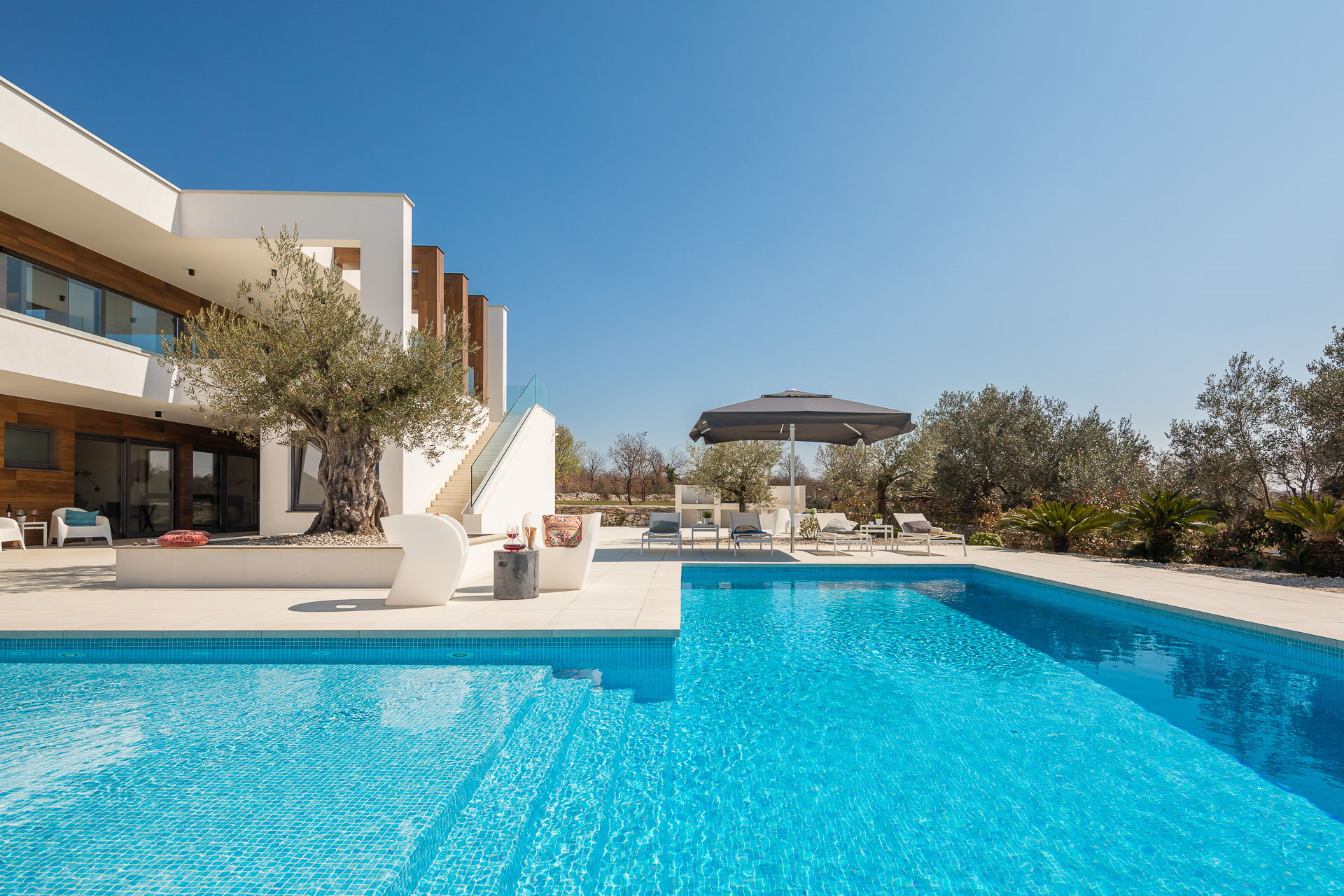 Villa Old Olive Ottava with Pool