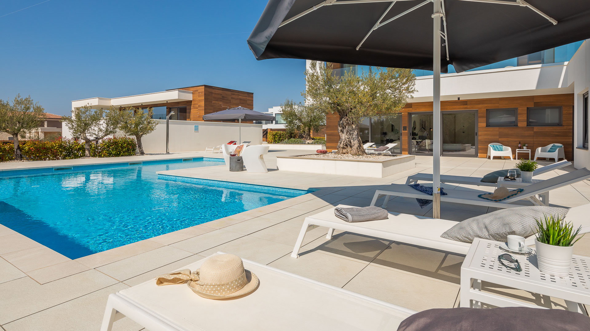 Villa Old Olive Ottava with Pool