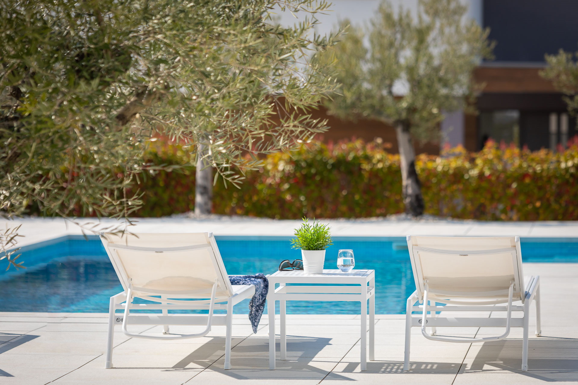Villa Old Olive Ottava with Pool