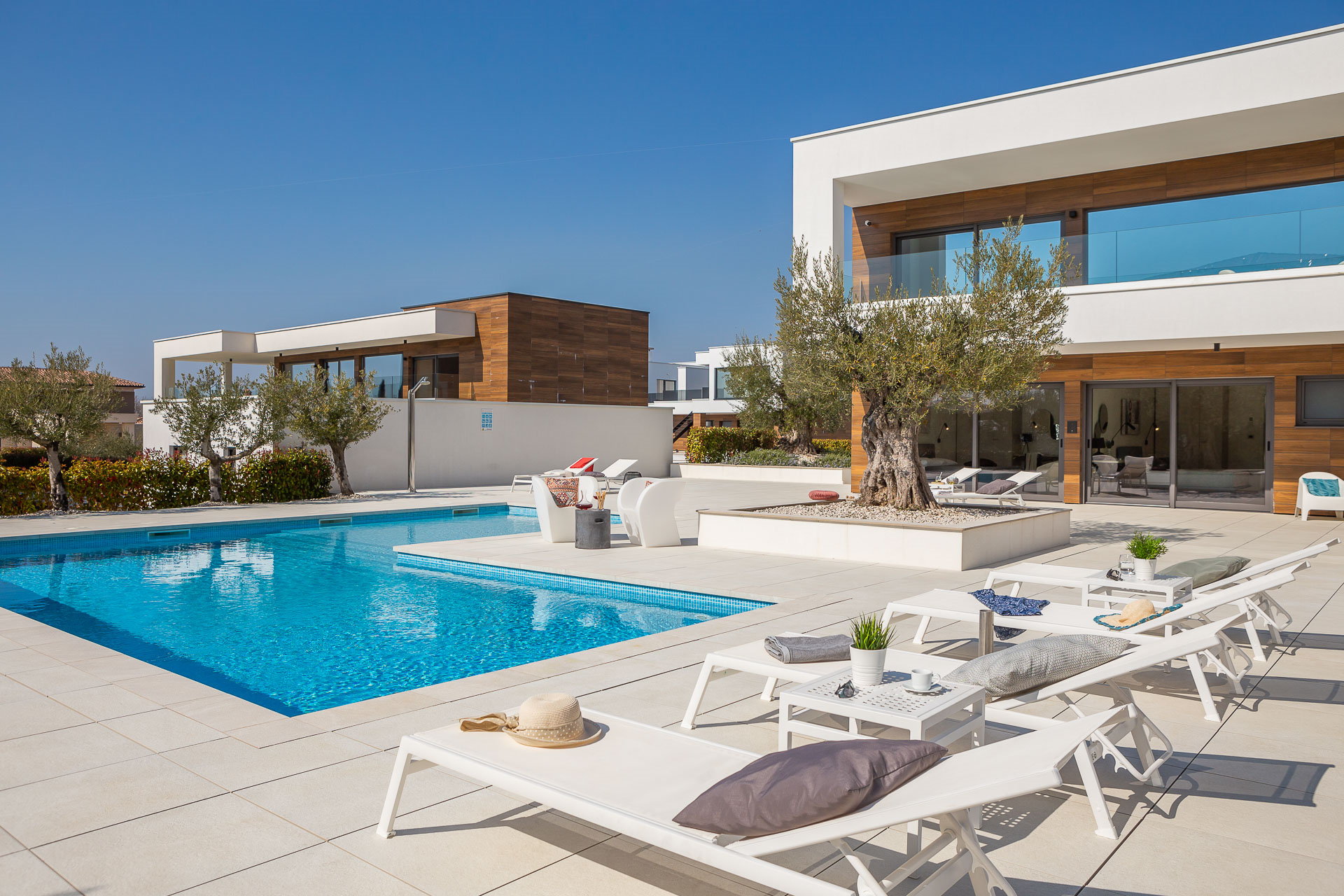 Villa Old Olive Ottava with Pool