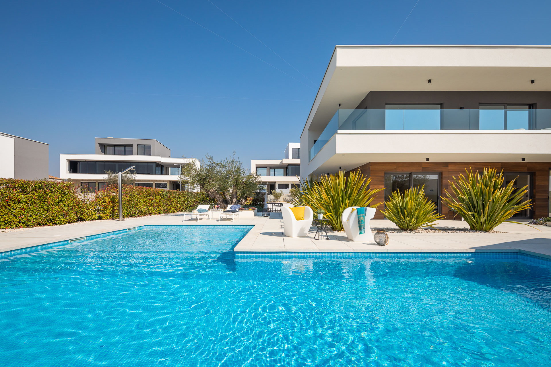 Villa Old Olive Settima with Pool