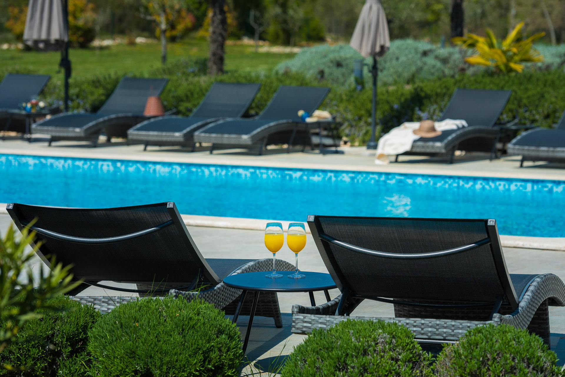 Villa Divine Estate with Pool