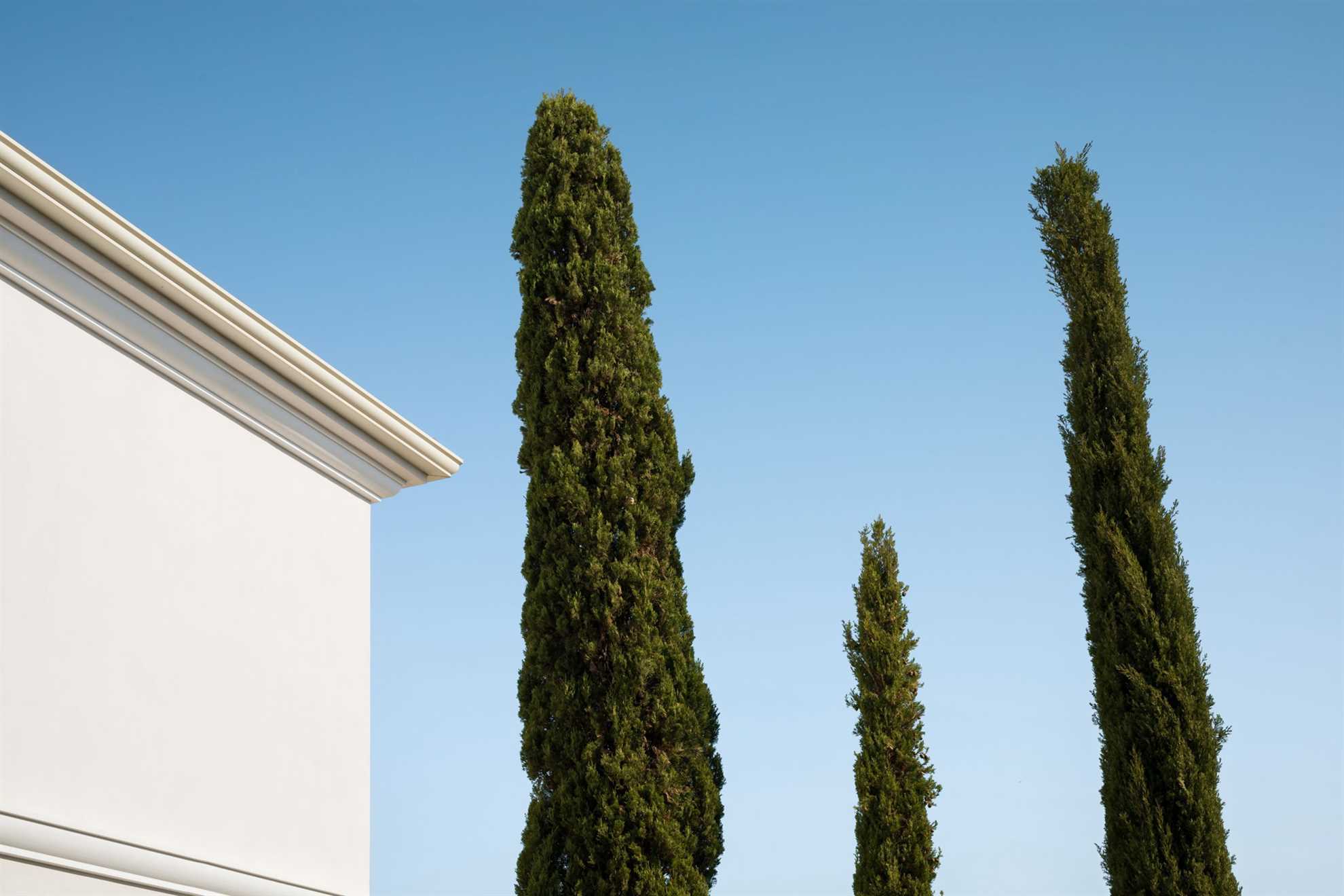 Villa Palazzo di Letizia with Pool