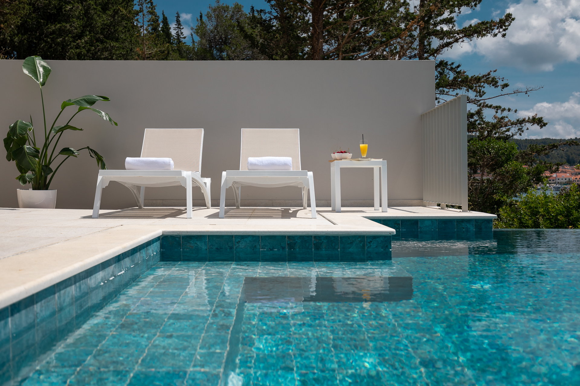 Luxury Villa Ivy with Pool