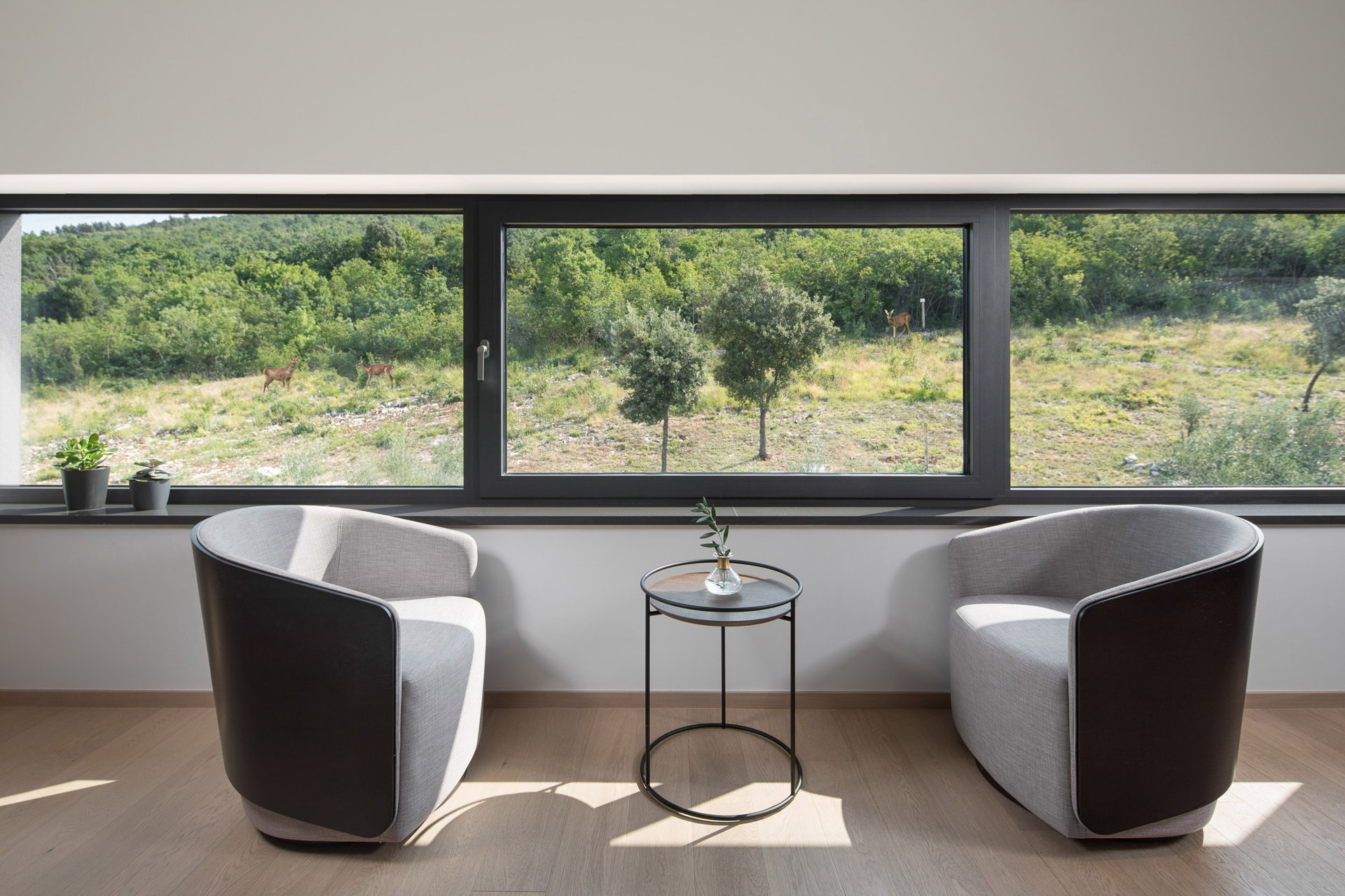 Villa Istria Prestige