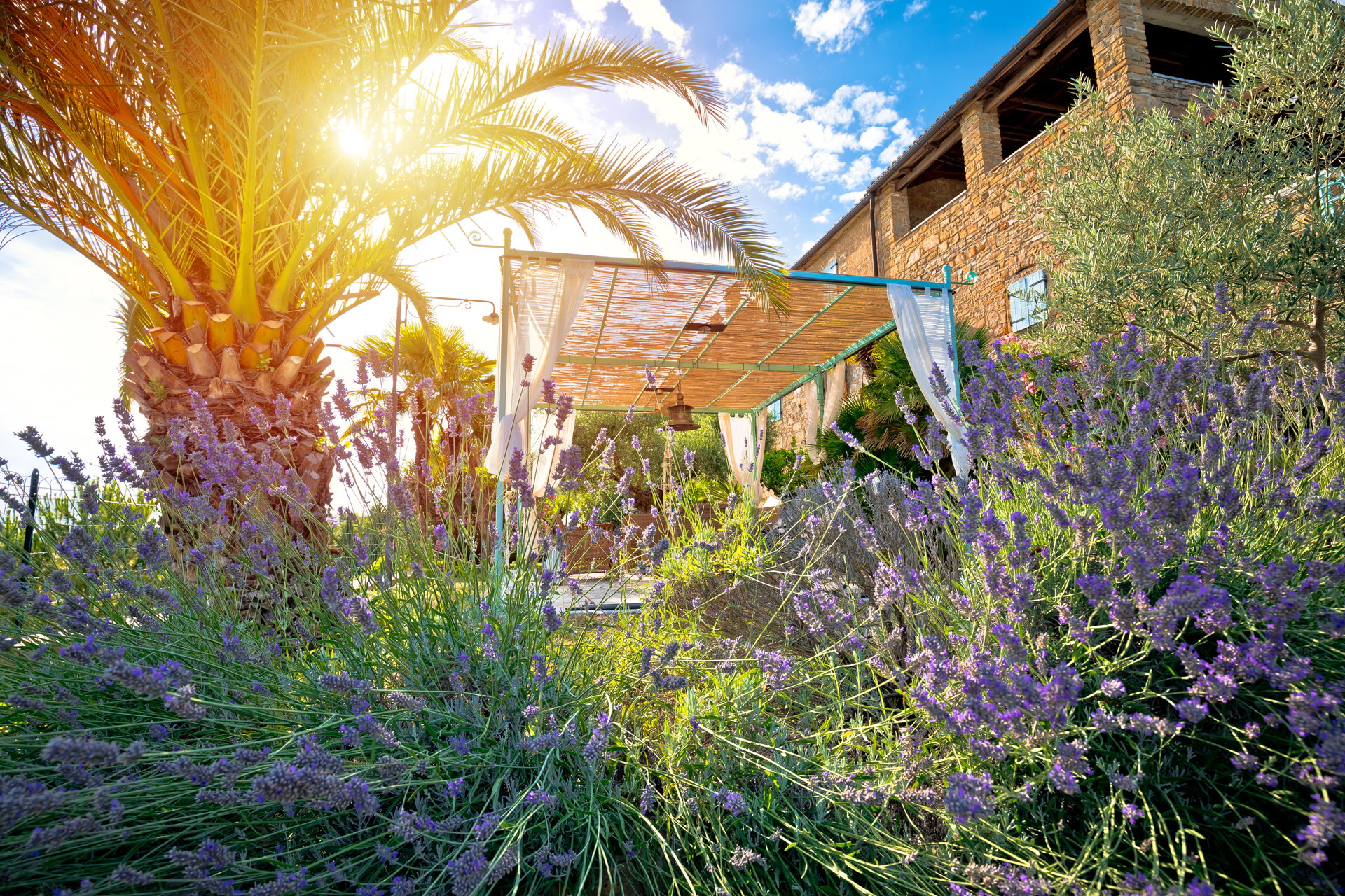 Villa Abode with Pool