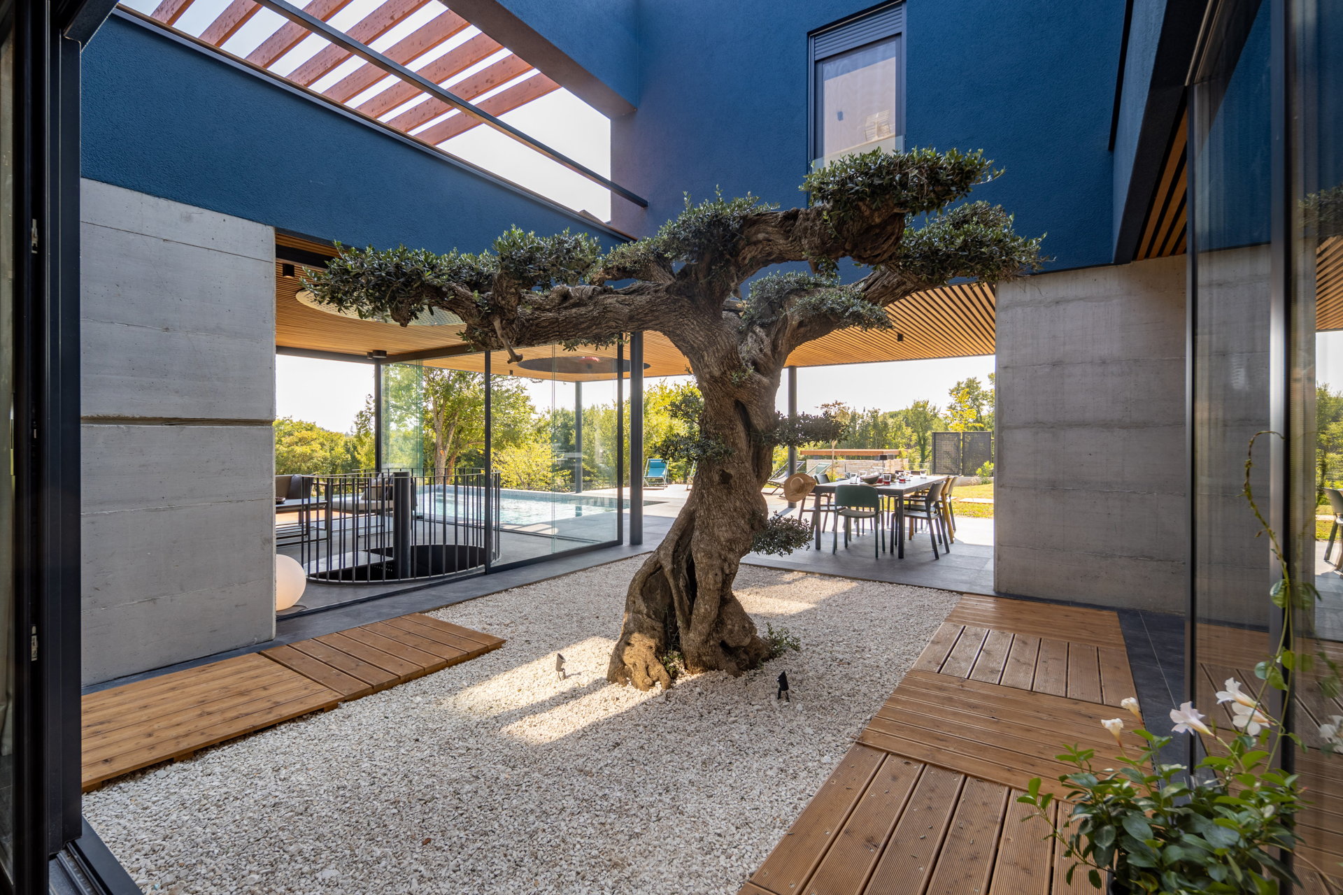 Luxury Villa Red Carpet with Pool