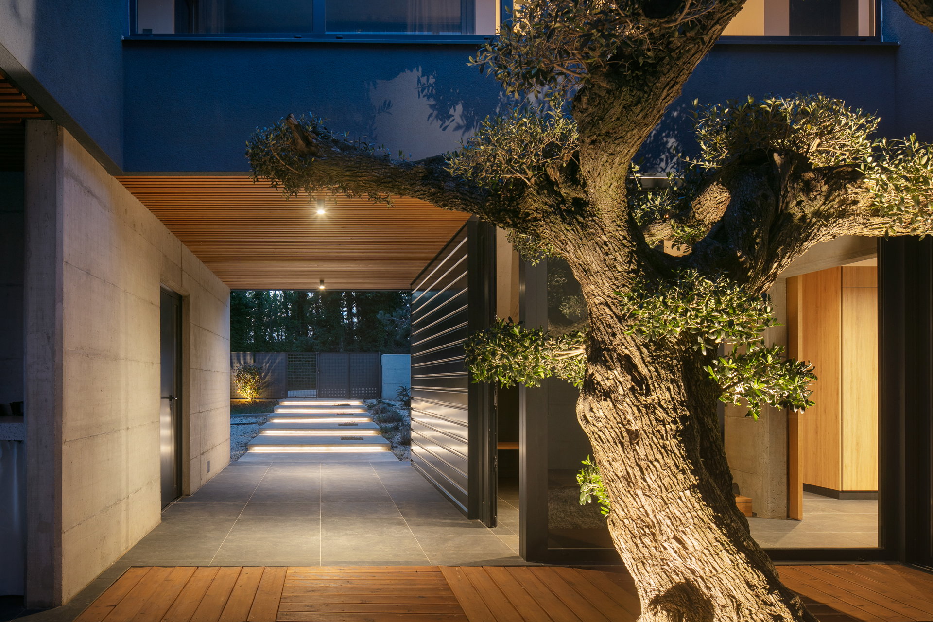 Luxury Villa Red Carpet with Pool