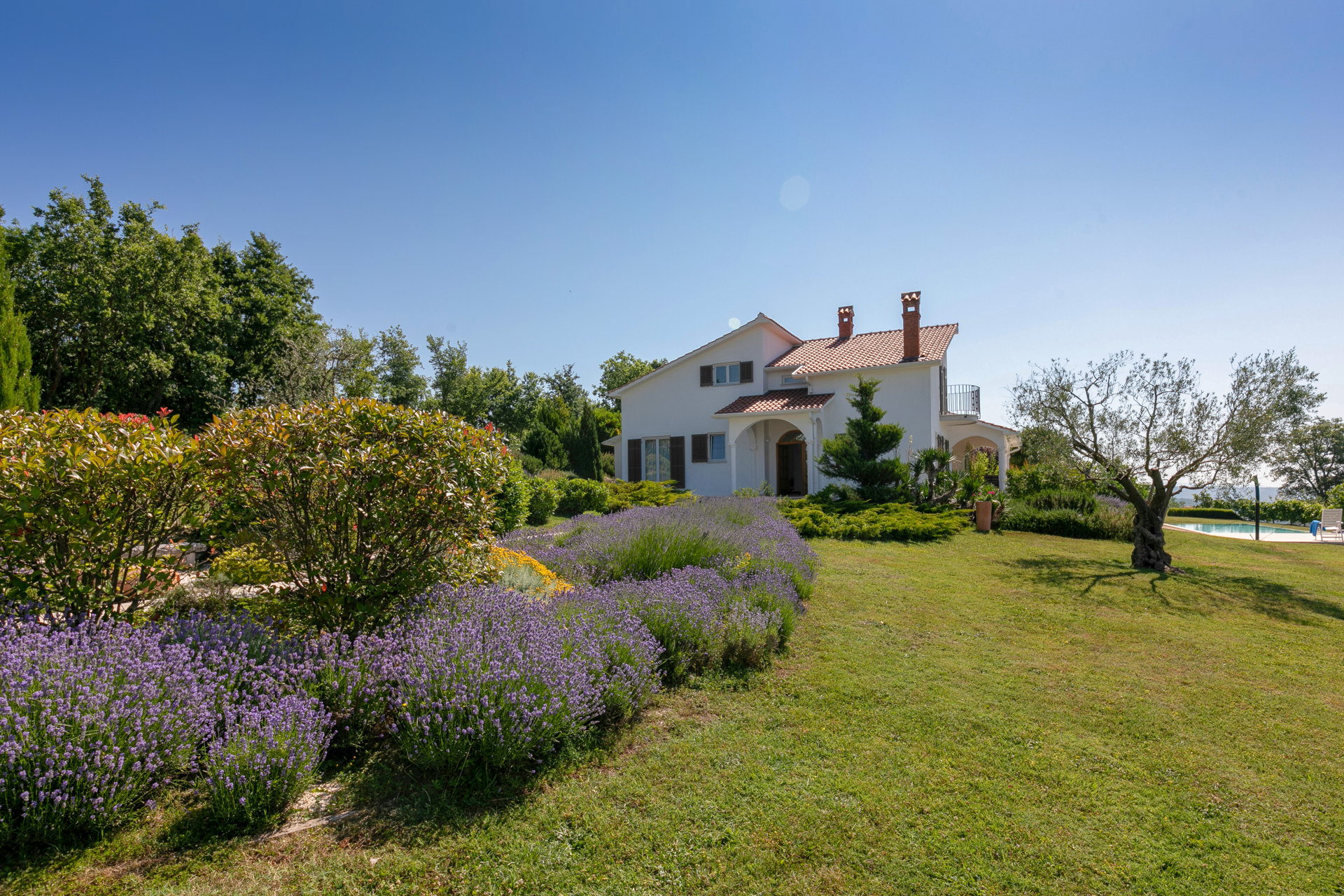 Villa Colors of Nature with Pool