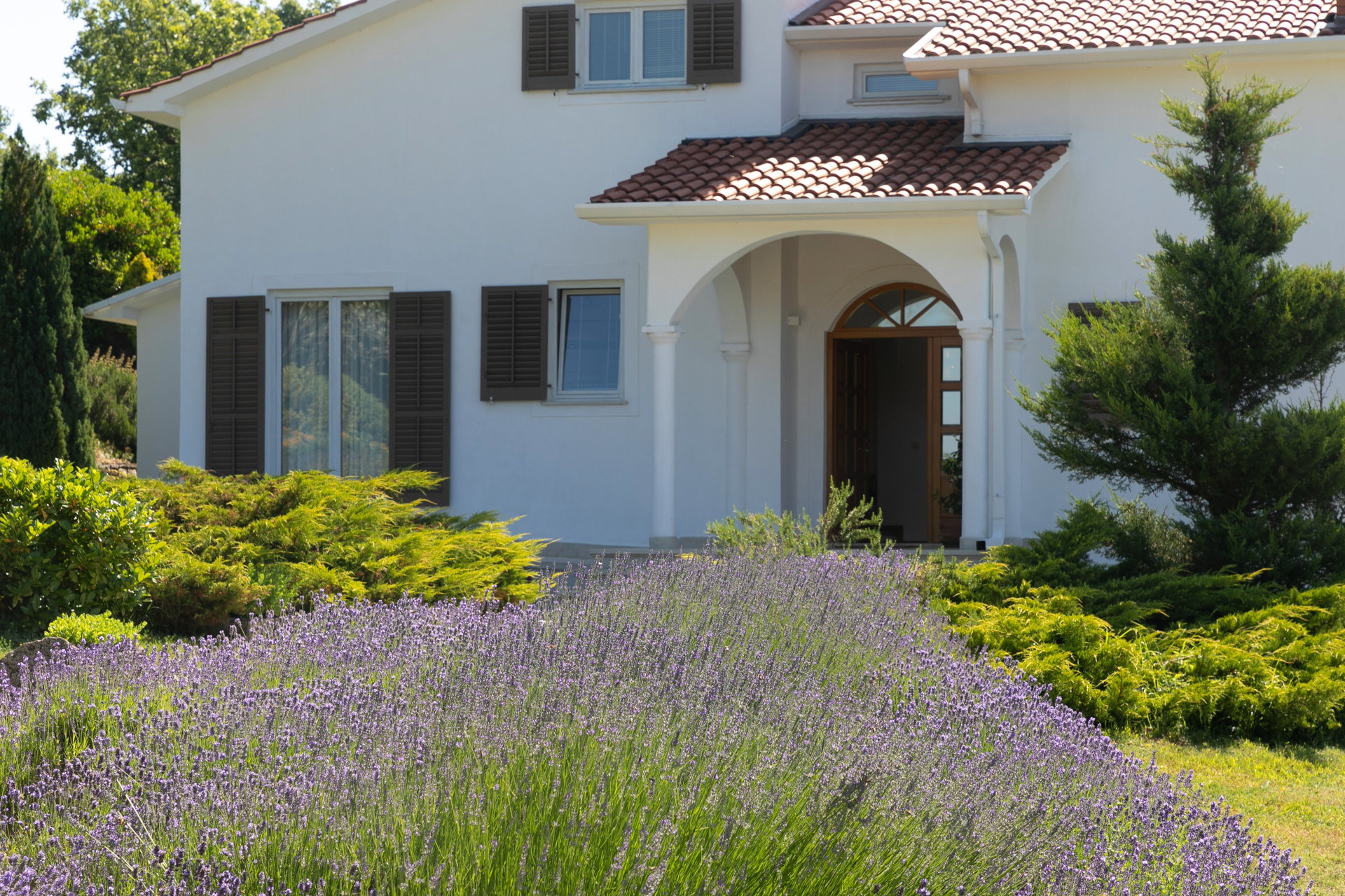 Villa Colors of Nature with Pool
