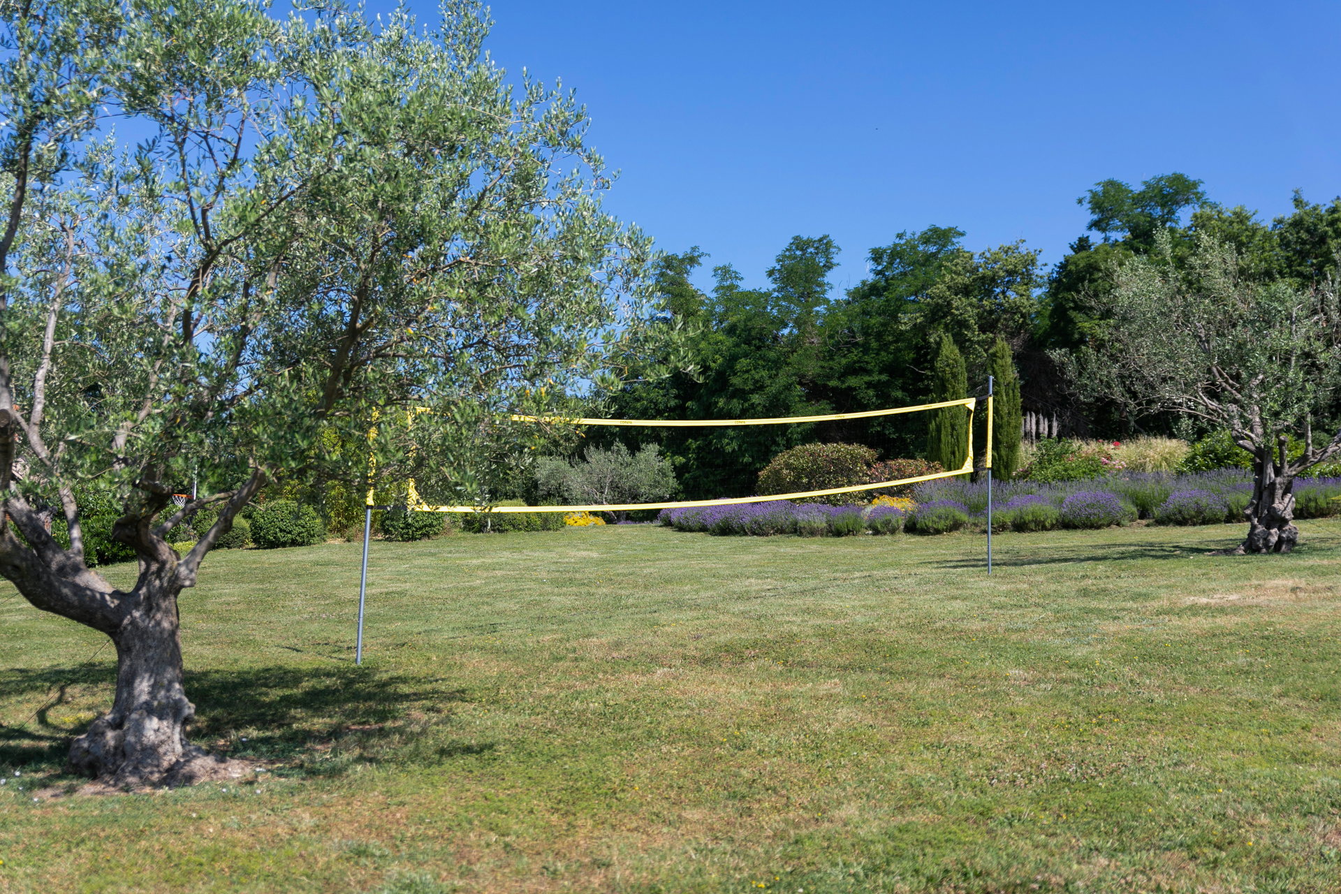 Villa Colors of Nature with Pool