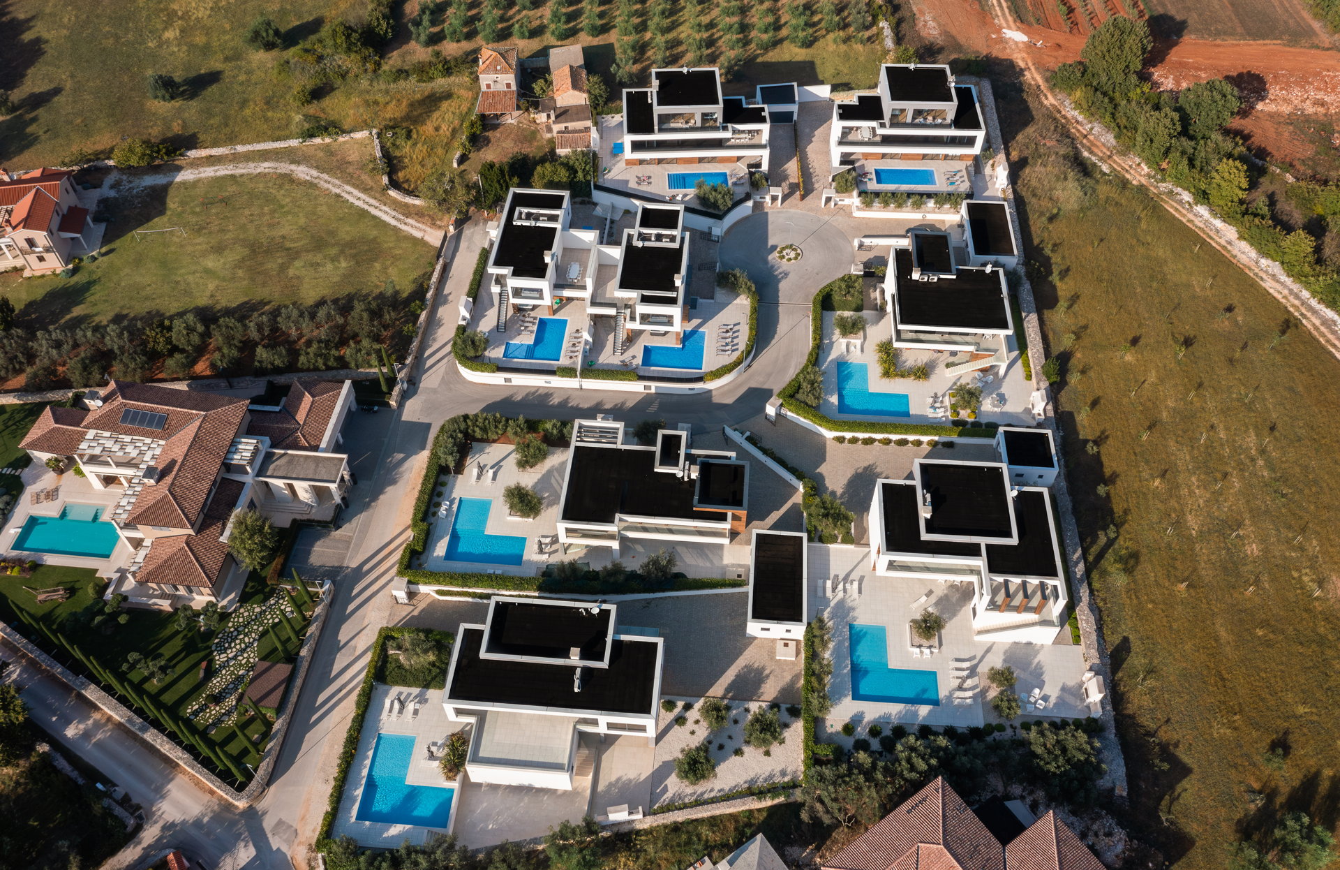Villa Old Olive Terza with Pool