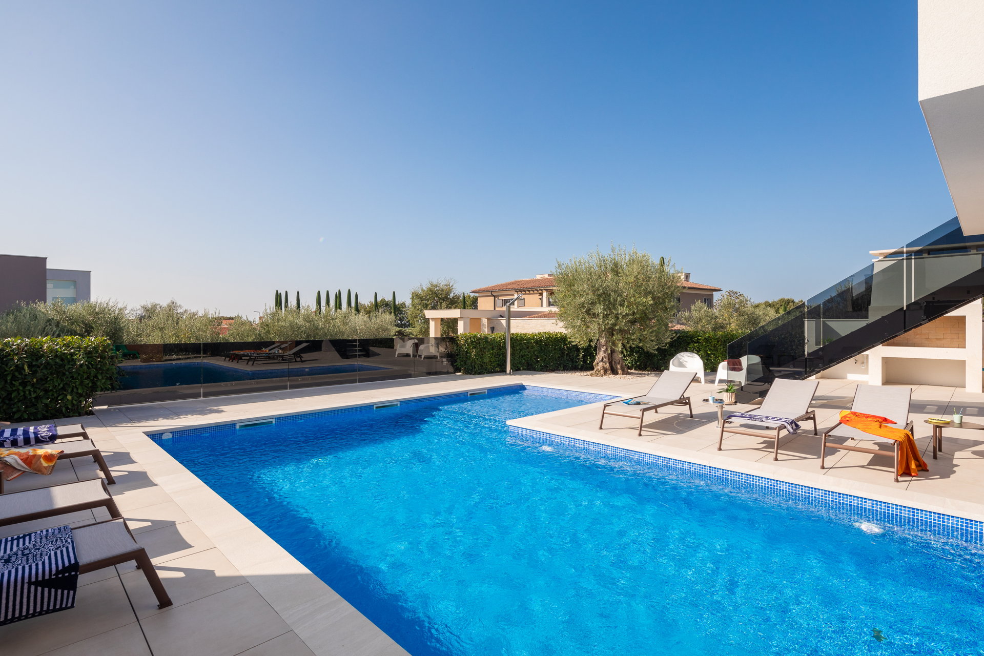 Villa Old Olive Terza with Pool