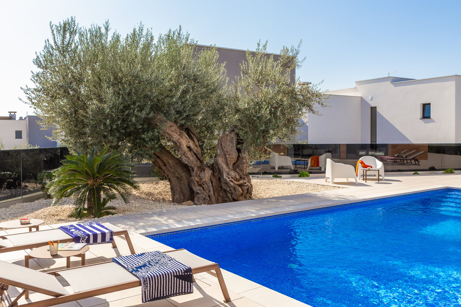 Villa Old Olive Quinta with Pool