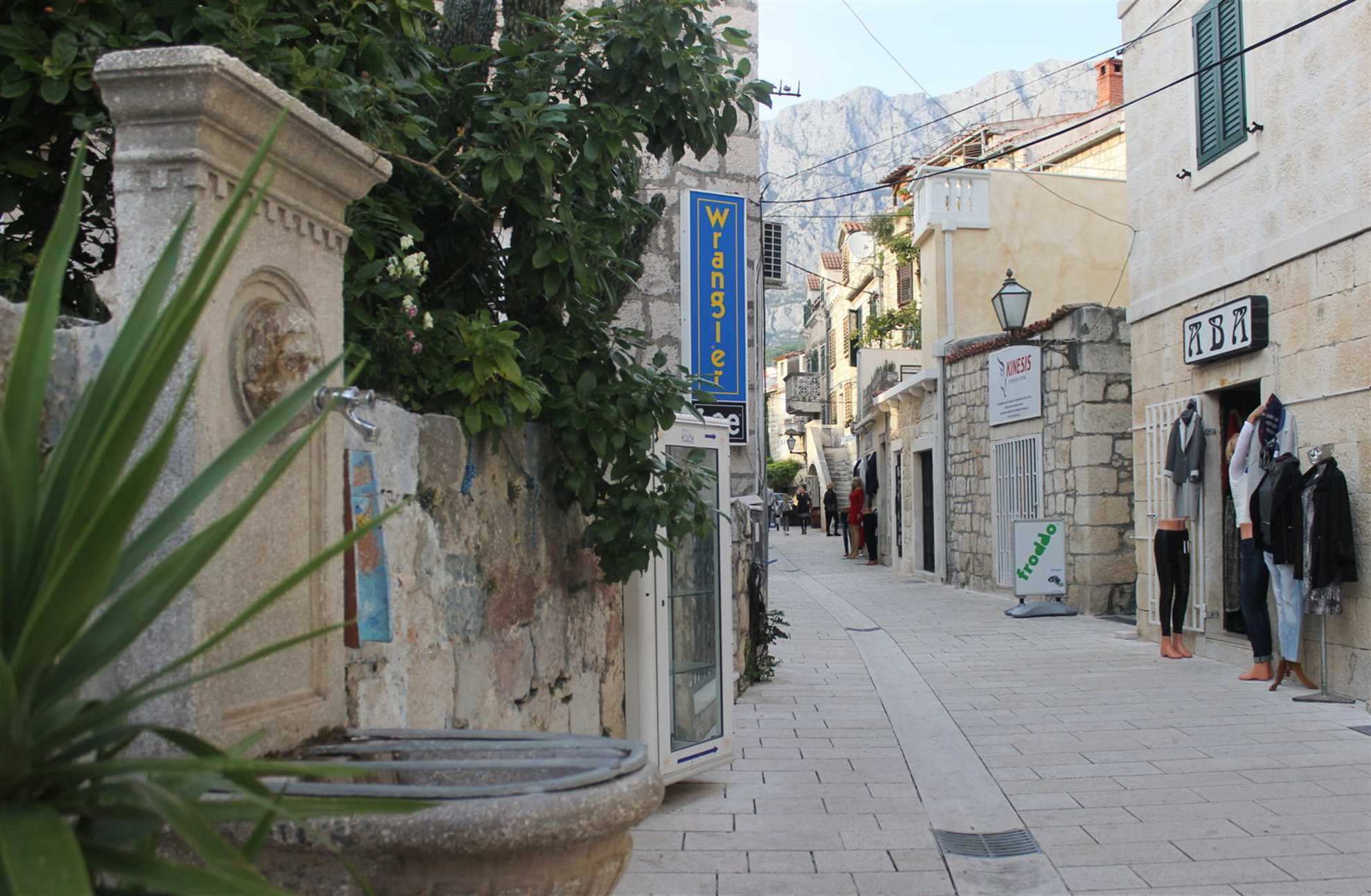 Villa Dalmatian Heritage in City Center