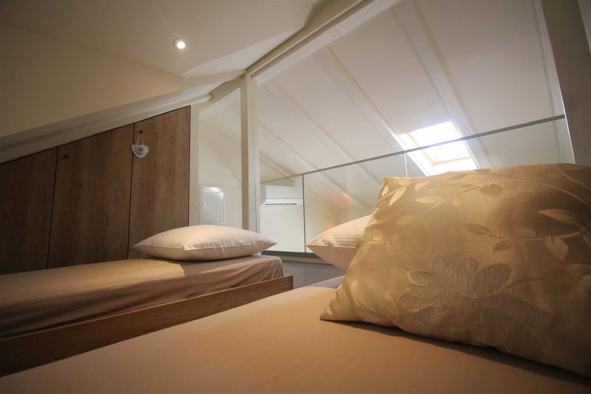 Villa Dalmatian Heritage in City Center