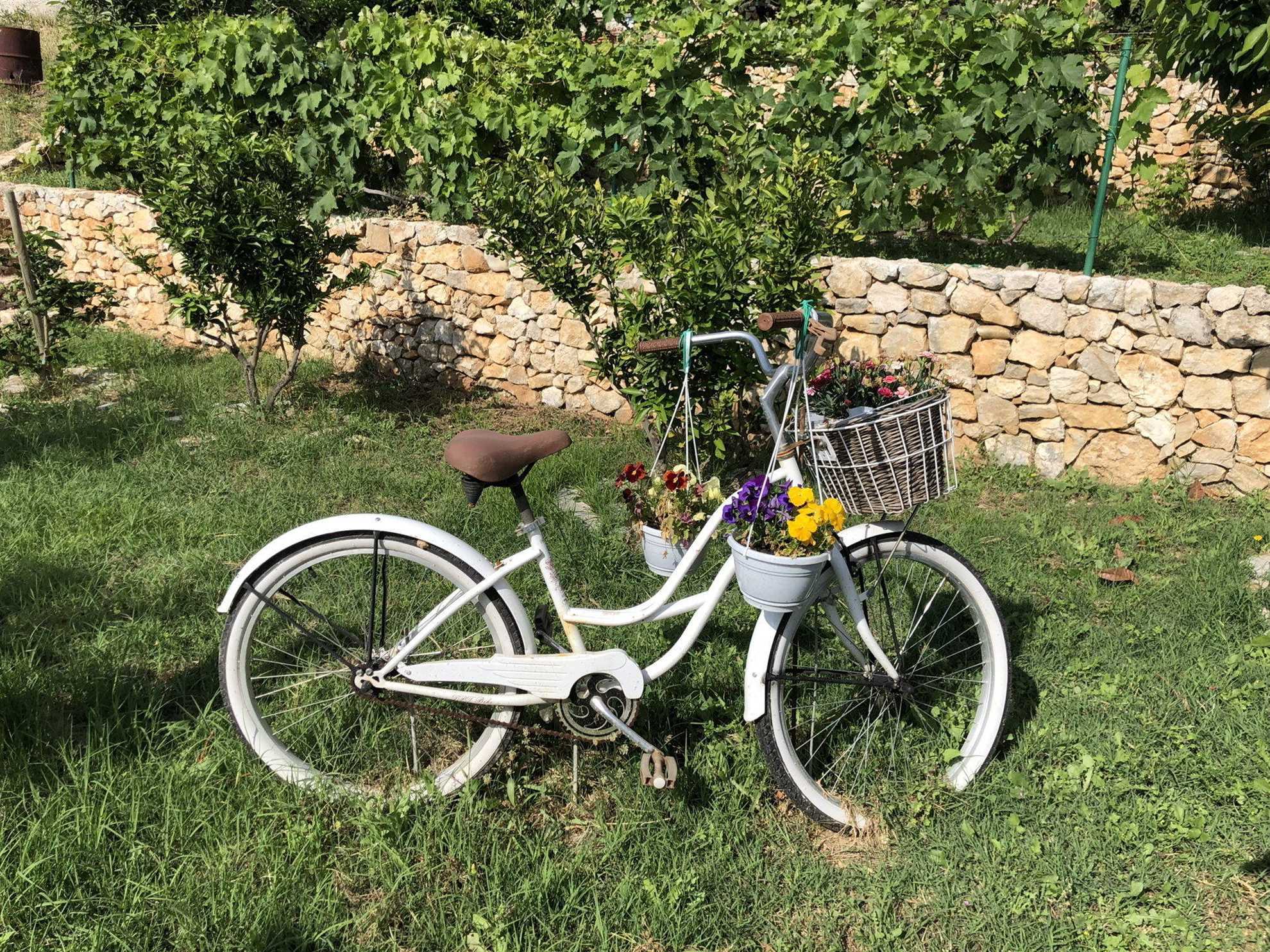 Villa Nirvana with Swimming Pool