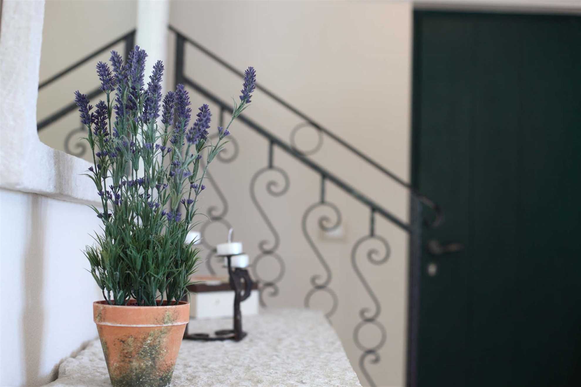 Villa Nirvana with Swimming Pool