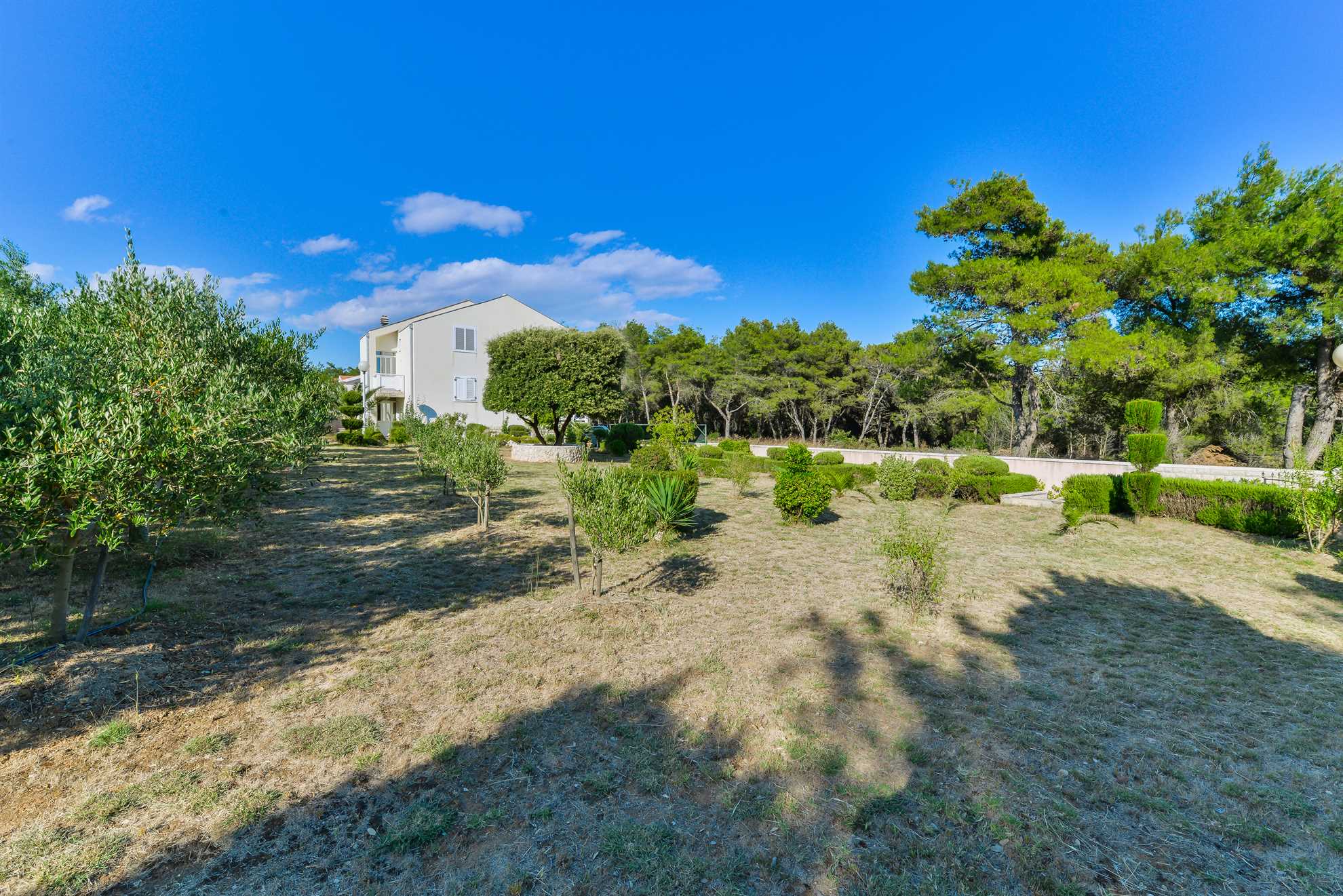 50 m from beach | Apartment with air conditioning and BBQ