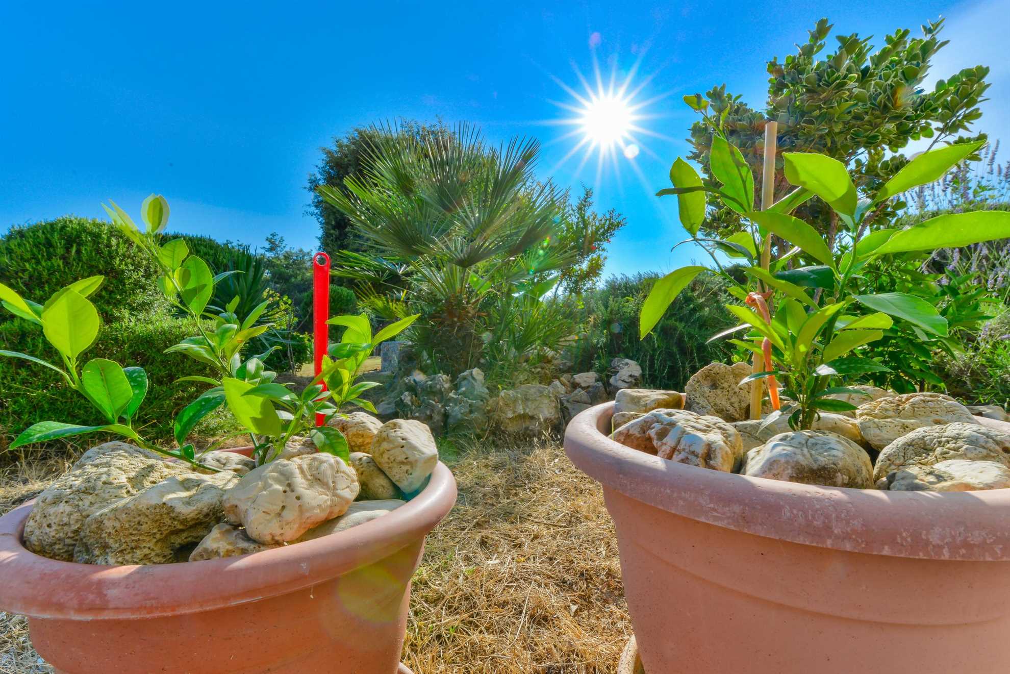 Apartment in a quiet area | just 50 m from beach | ideal for 2-4 persons