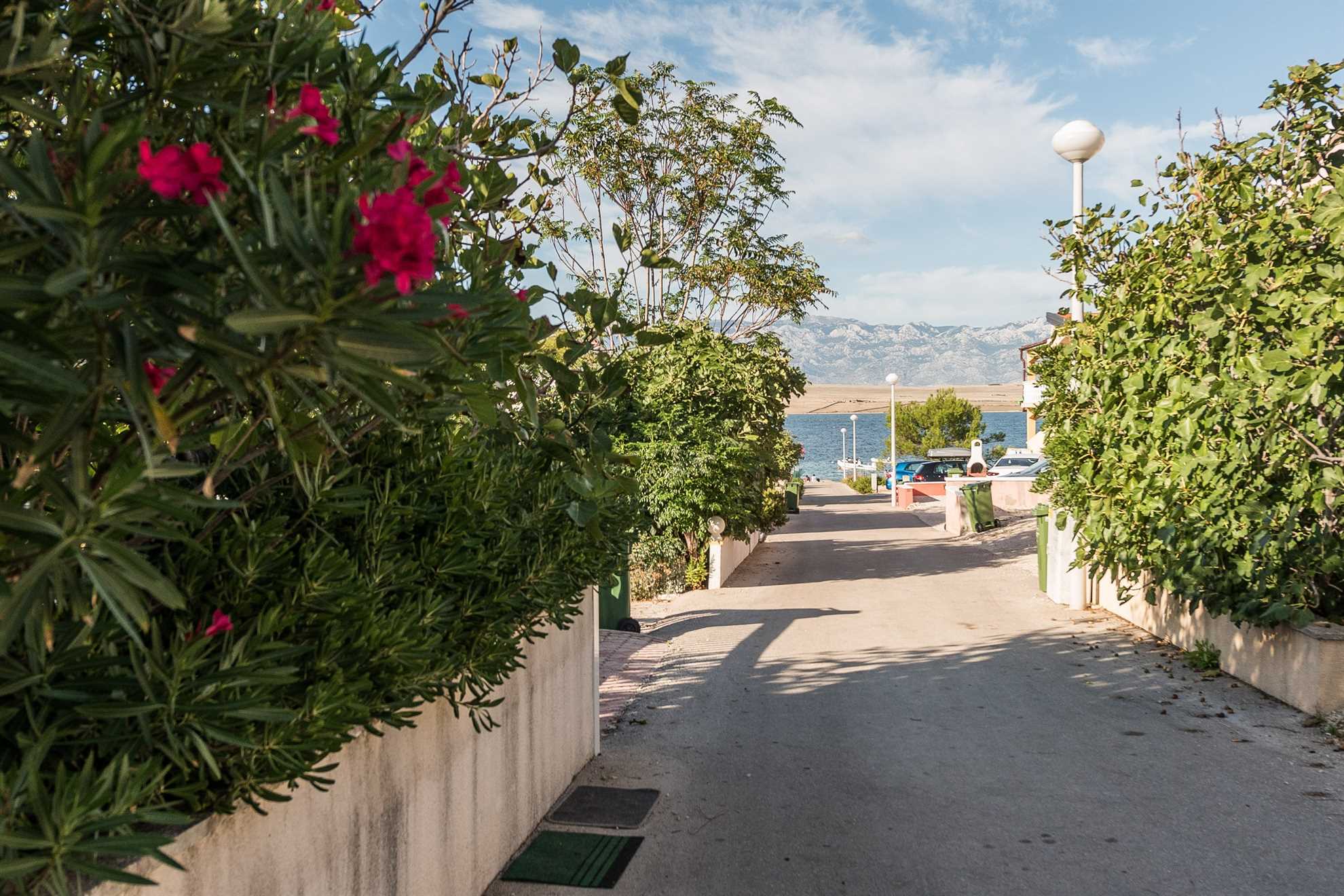 Just 50m from beach | ideal for 2-4 pers. | 3 stars apartment