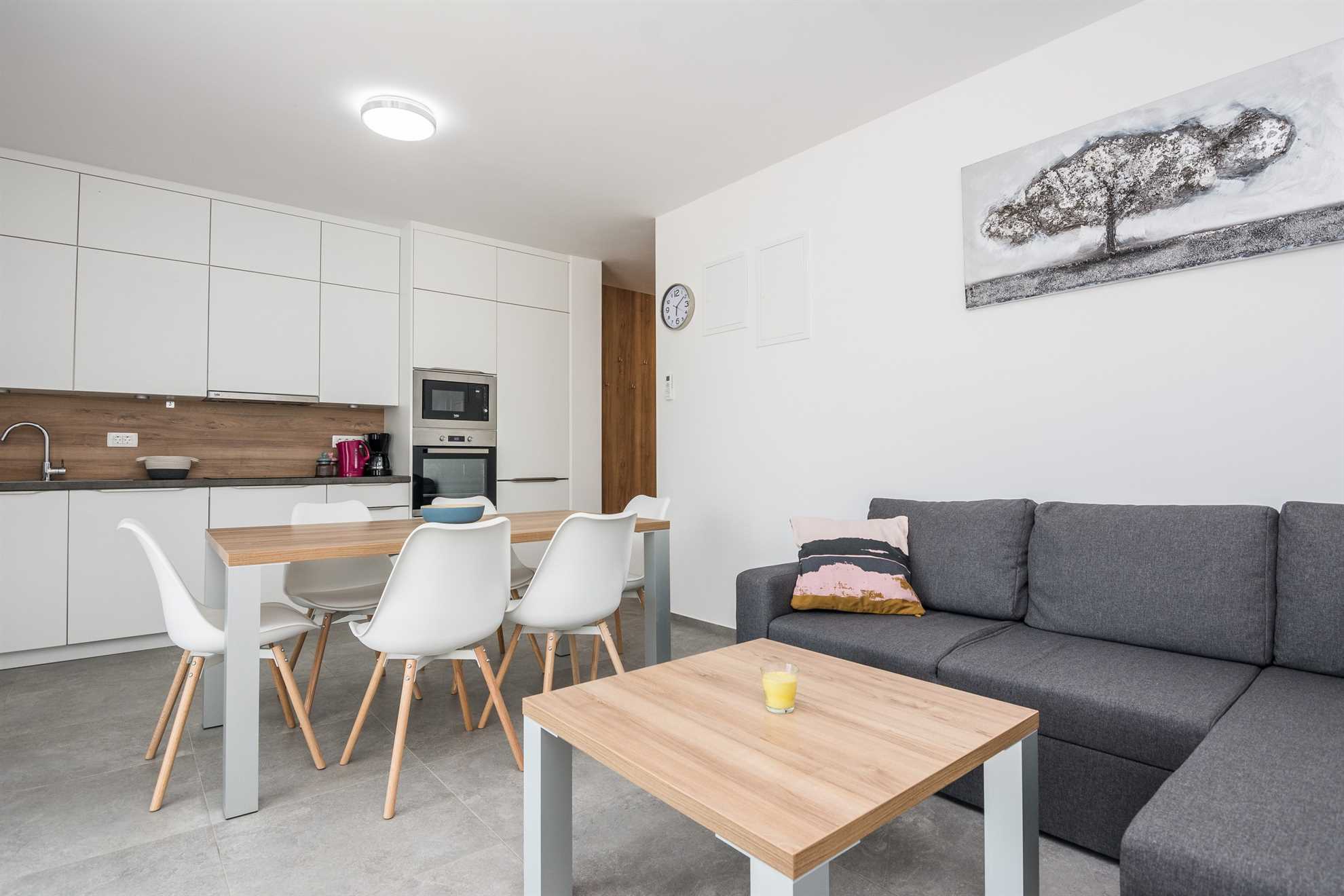 Deluxe apartment for 4-6 persons | on the island of Vir | New