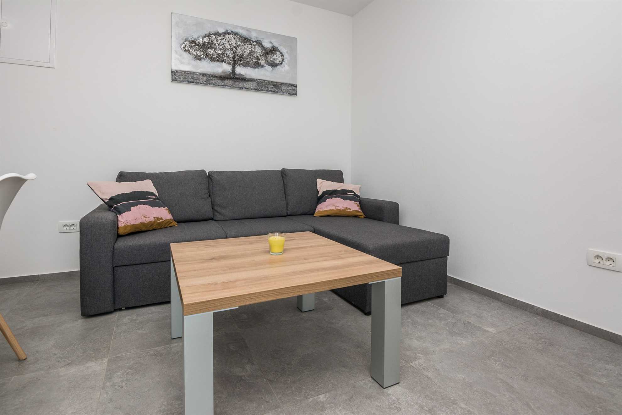 Deluxe apartment for 4-6 persons | on the island of Vir | New