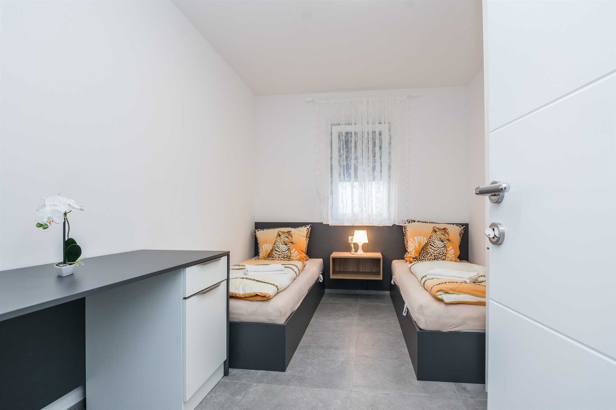 Deluxe apartment for 4-6 persons | on the island of Vir | New