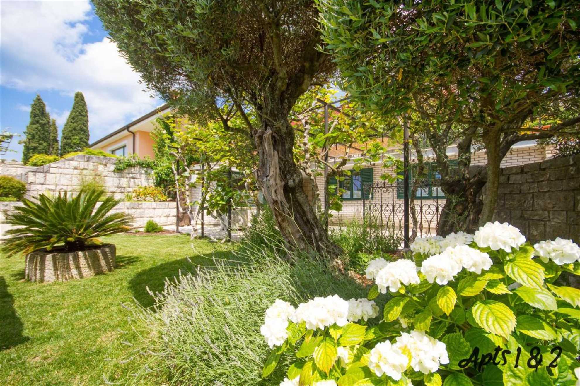 One Bedroom Apartment with Terrace Kolenc 1 Portoroz