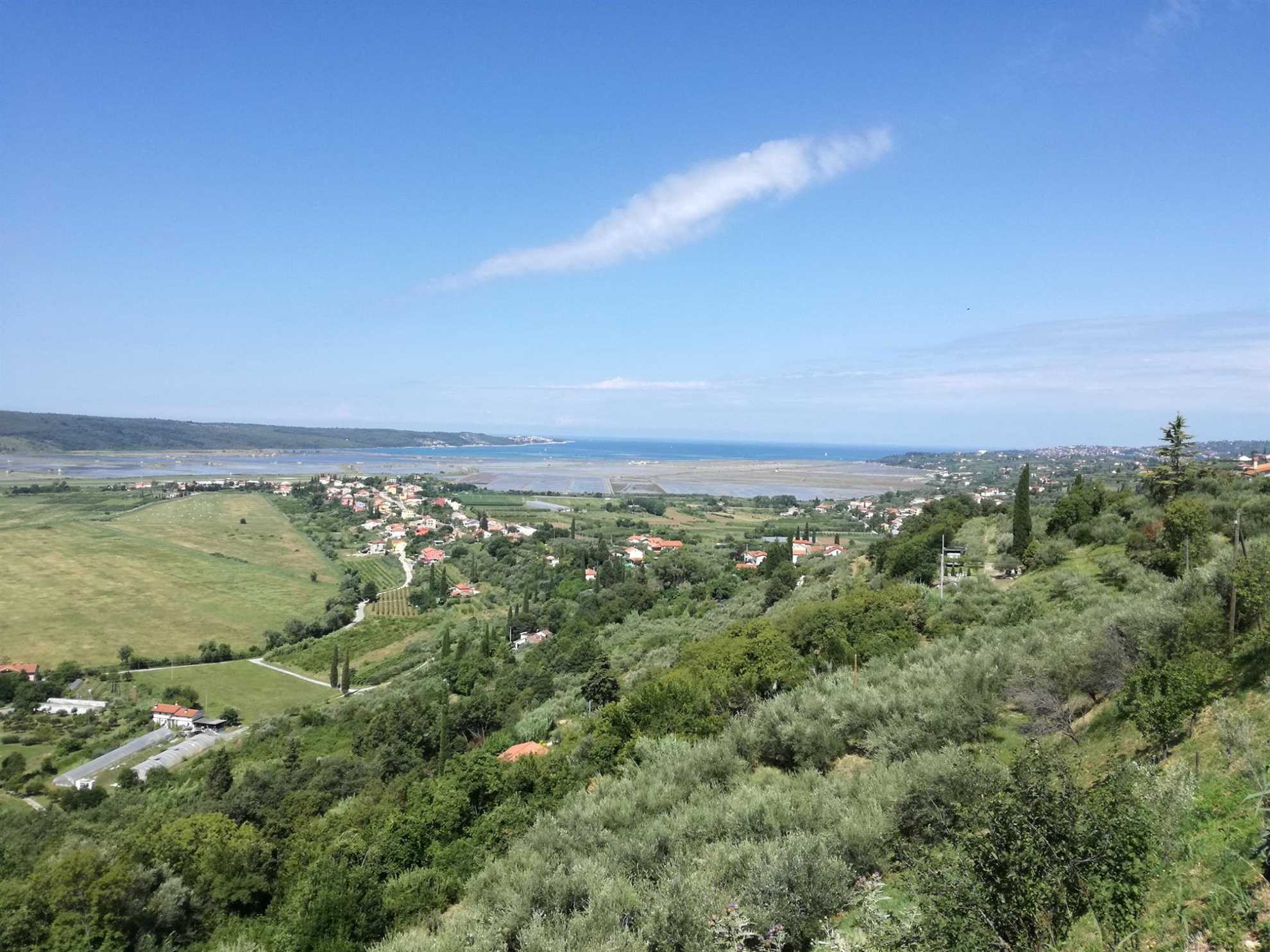 Two Bedroom Apartment Olive Oil Homestead Milok