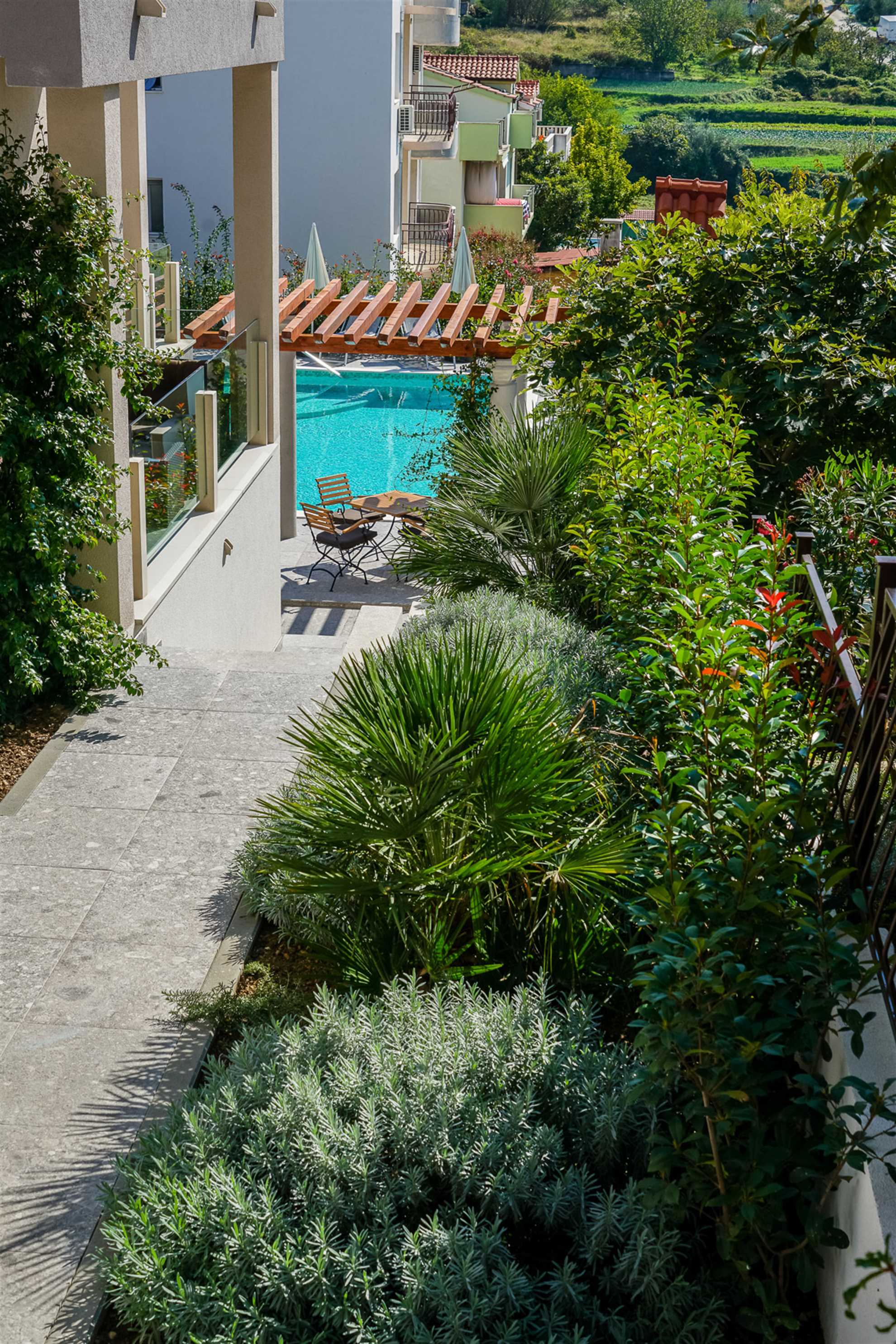 Olive Tree apartment A5