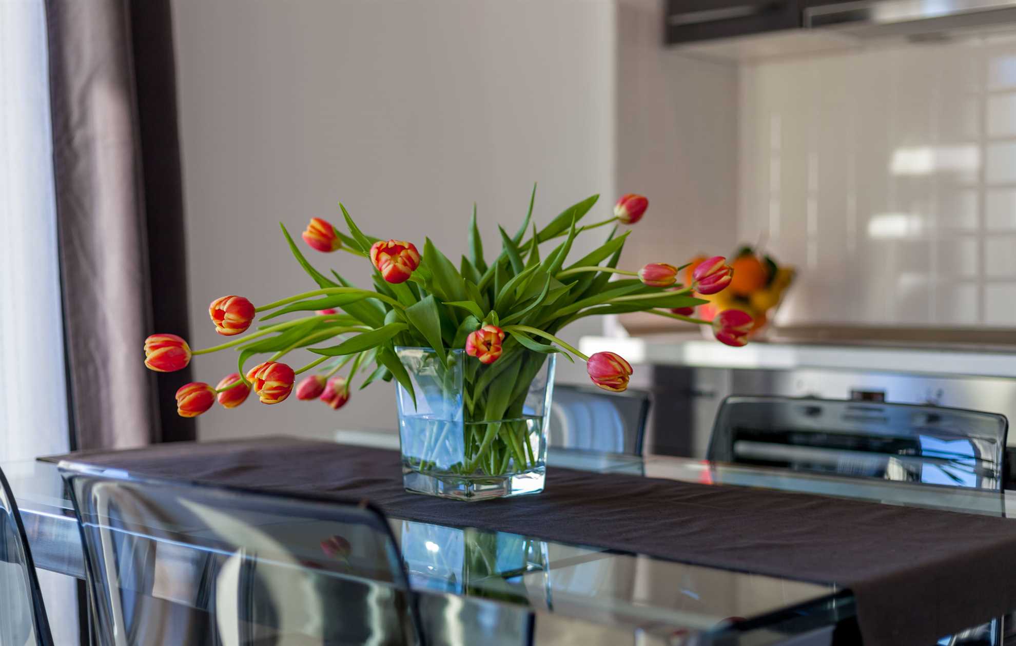 Olive Tree apartment A3