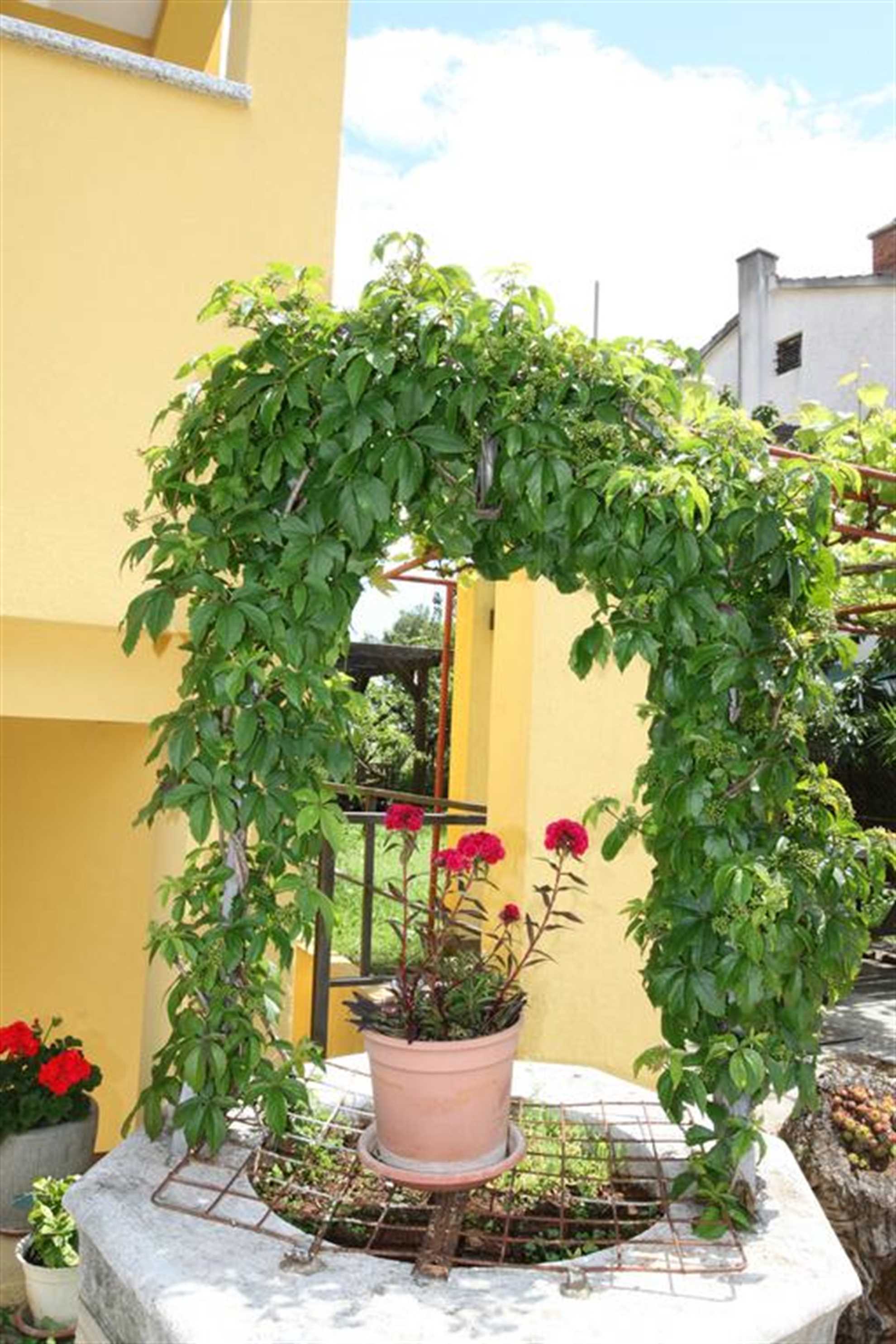 Rental #17061