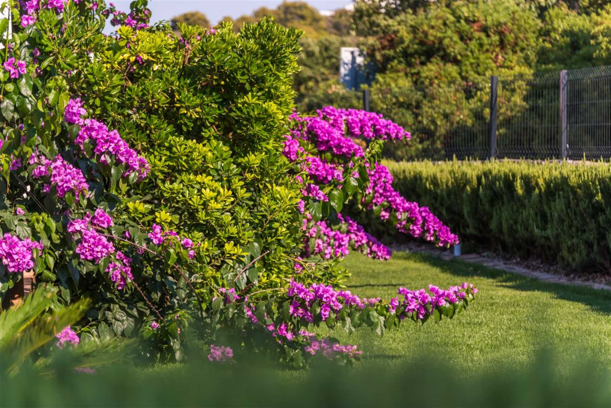 HOLIDAY HOME SANT'ANNA