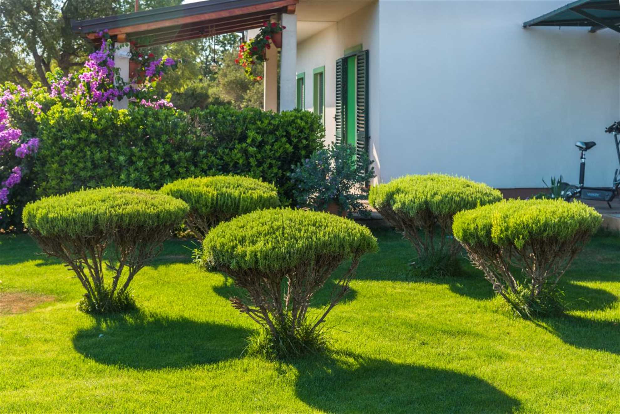 HOLIDAY HOME SANT'ANNA