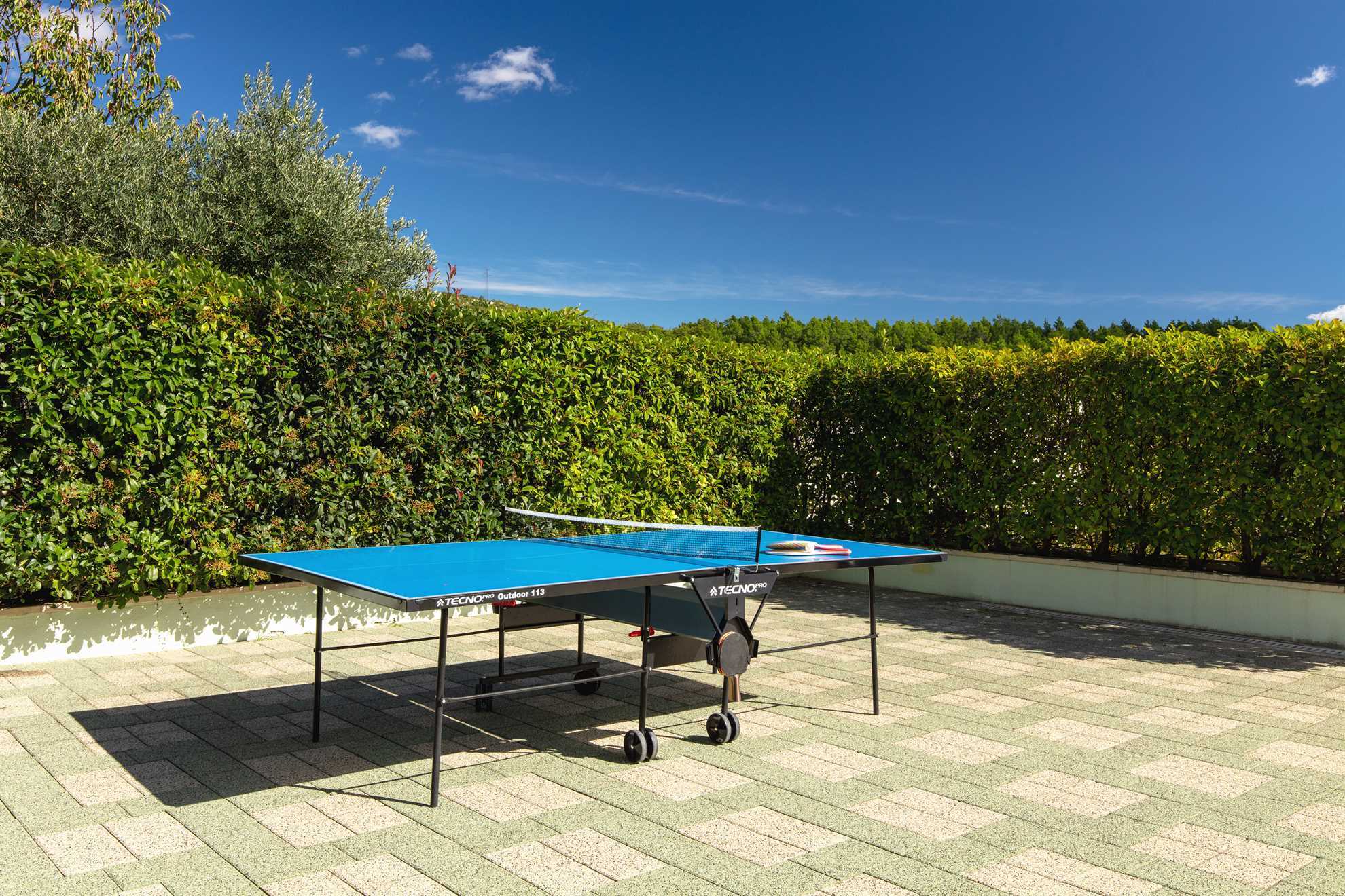 Luxury Villa Lovric with private heated pool, Jacuzzi, Sauna and private tavern