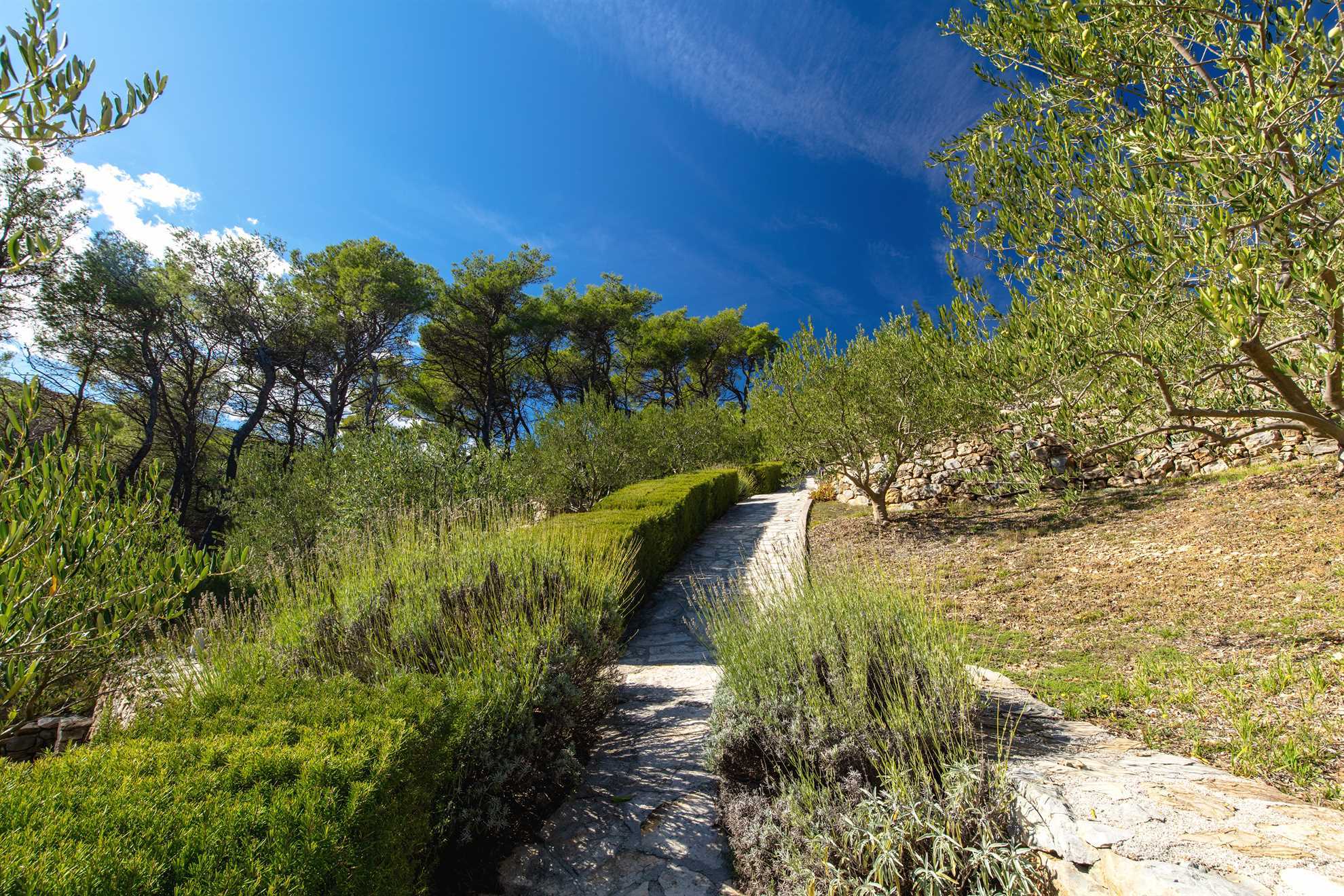 Luxury Villa Lovric with private heated pool, Jacuzzi, Sauna and private tavern