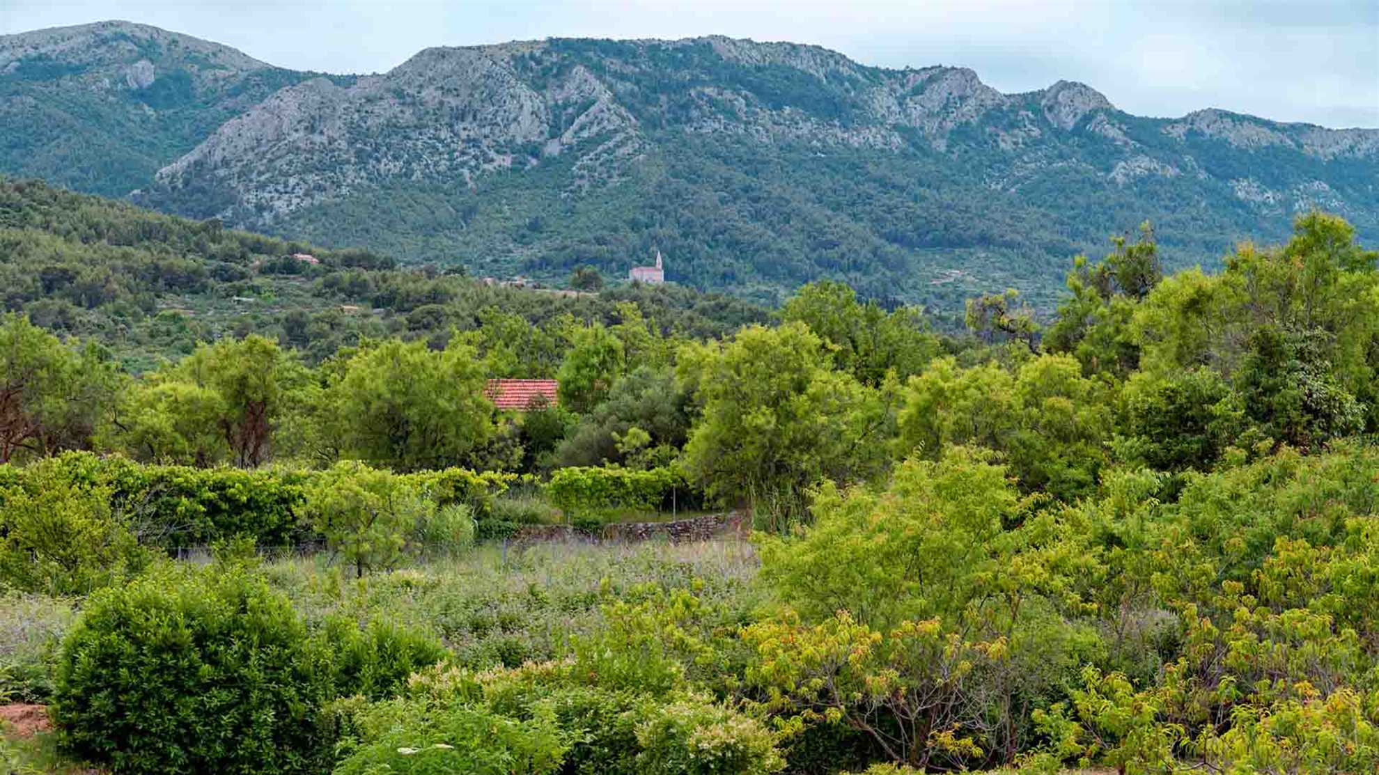 Holiday house Sunshine in center of Jelsa - EOS CROATIA