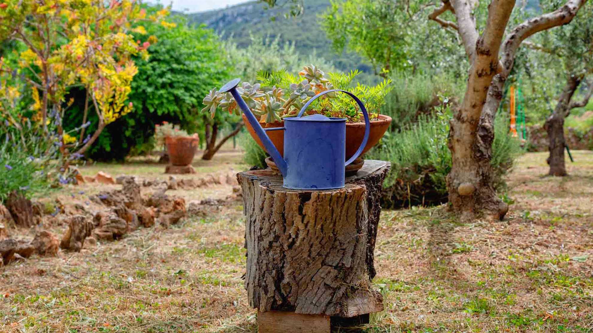 Holiday house Sunshine in center of Jelsa - EOS CROATIA